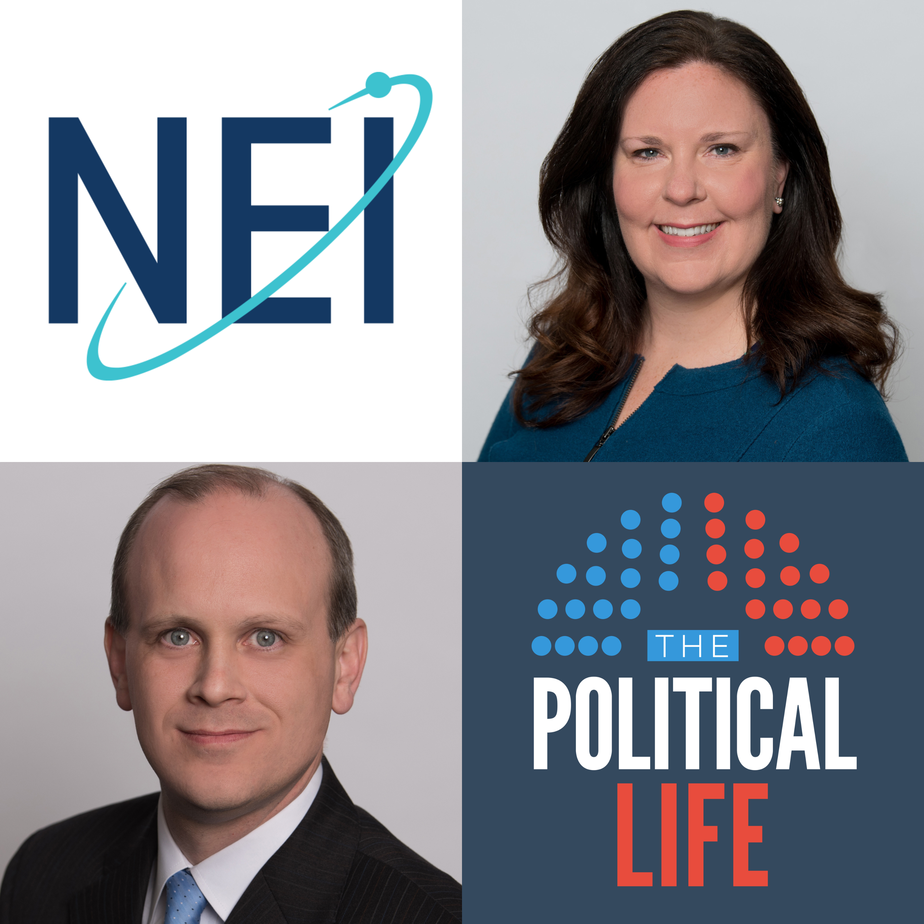 The Political Life