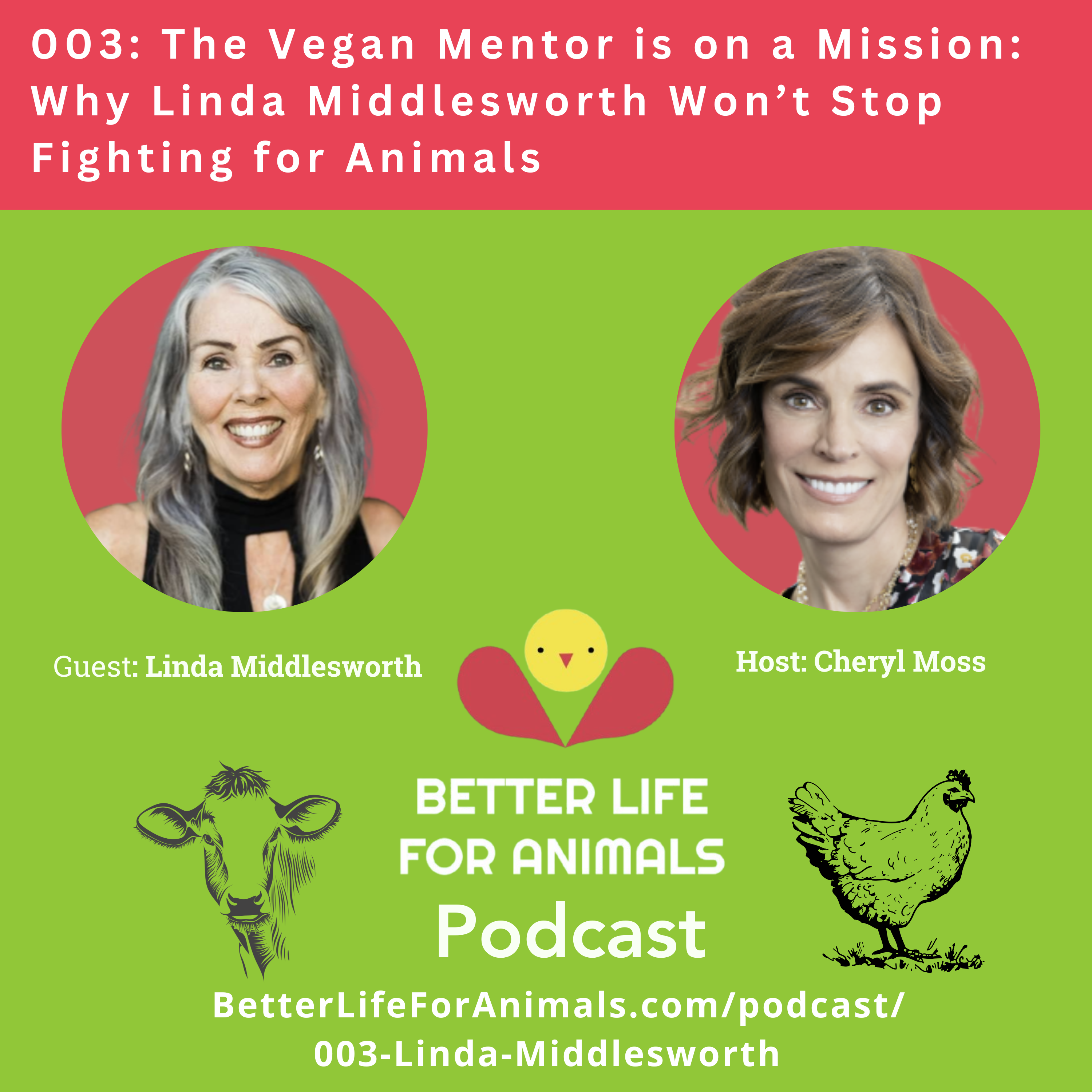003: The Vegan Mentor is on a Mission: Why Linda Middlesworth Won’t Stop Fighting for Animals