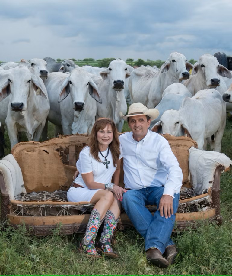 cover of episode 472 Benton England Pointless Brahmans