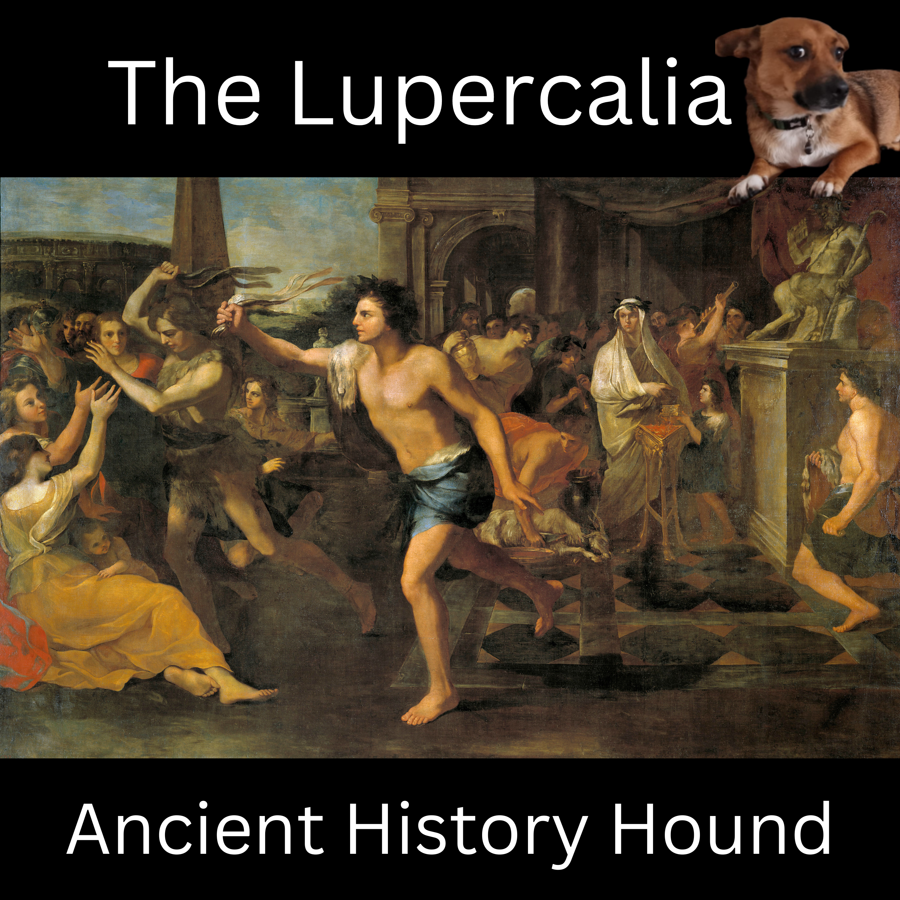 Ancient History Hound