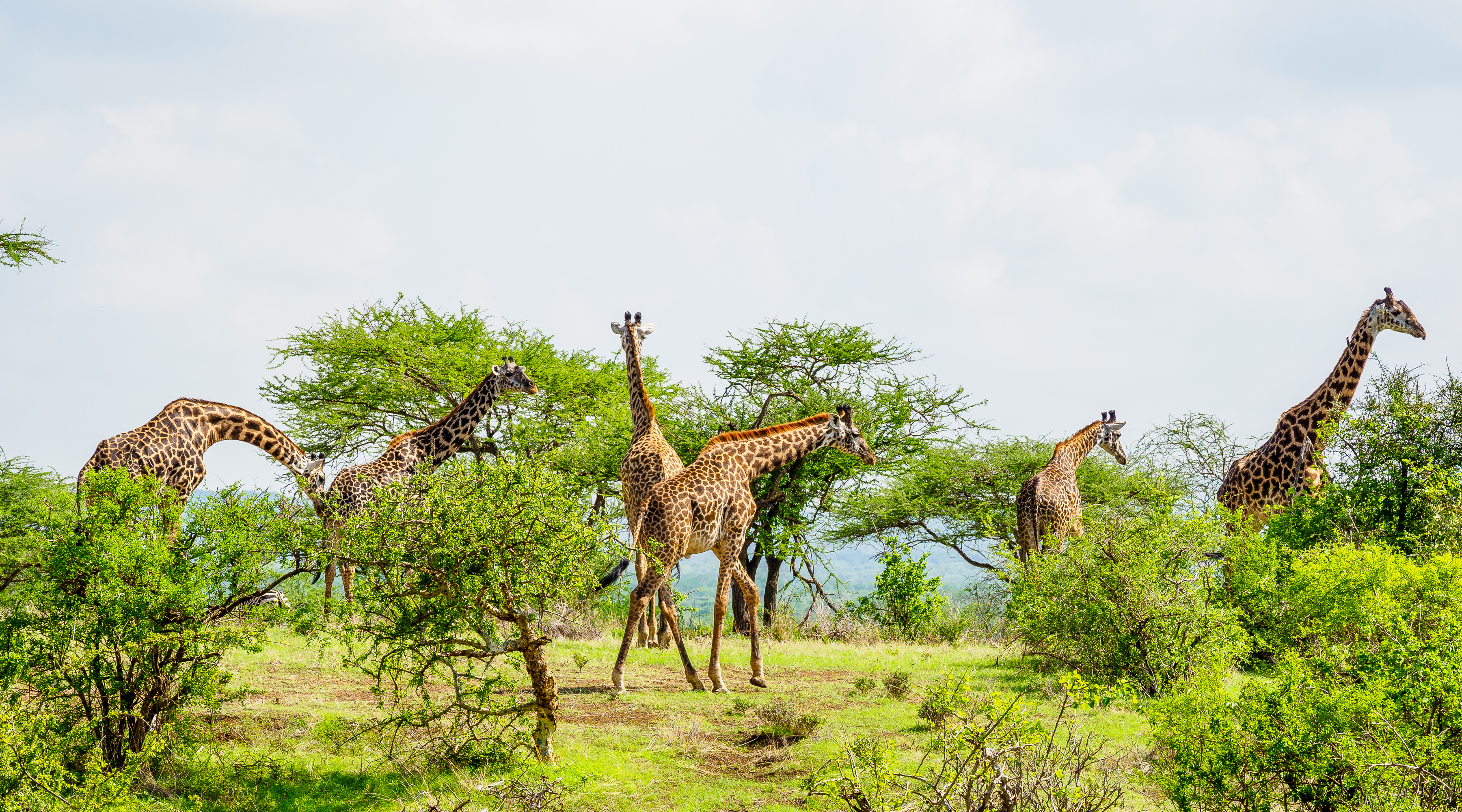 Adventure With Africa Kenya Safaris
