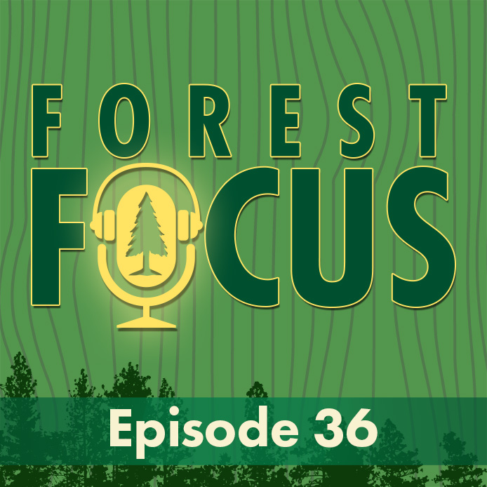 cover of episode Episode 36: Being Beavers