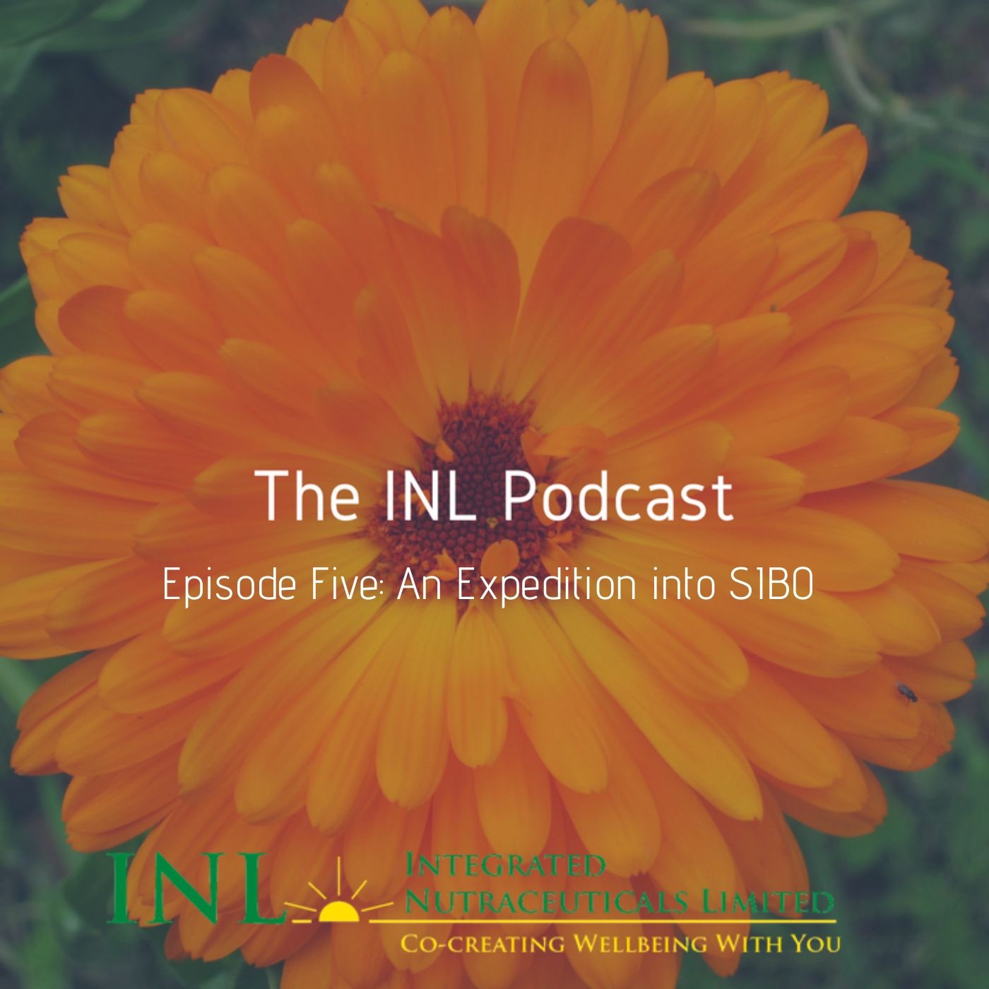 Episode 5: An Expedition into SIBO with Graeme Bradshaw - Part 3 Episode 5: An Expedition into SIBO with Graeme Bradshaw - Part 3
