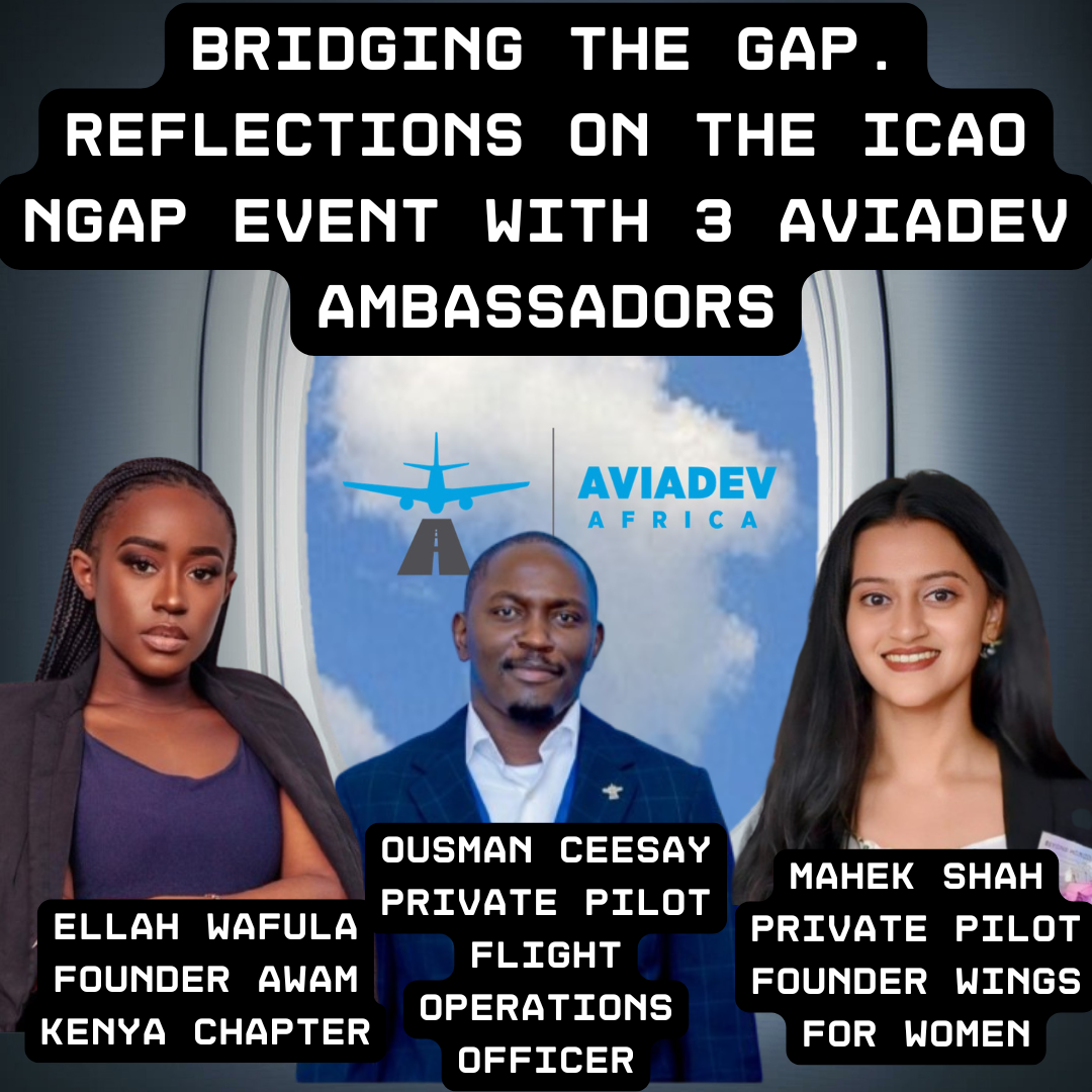 AviaDev Insight Africa