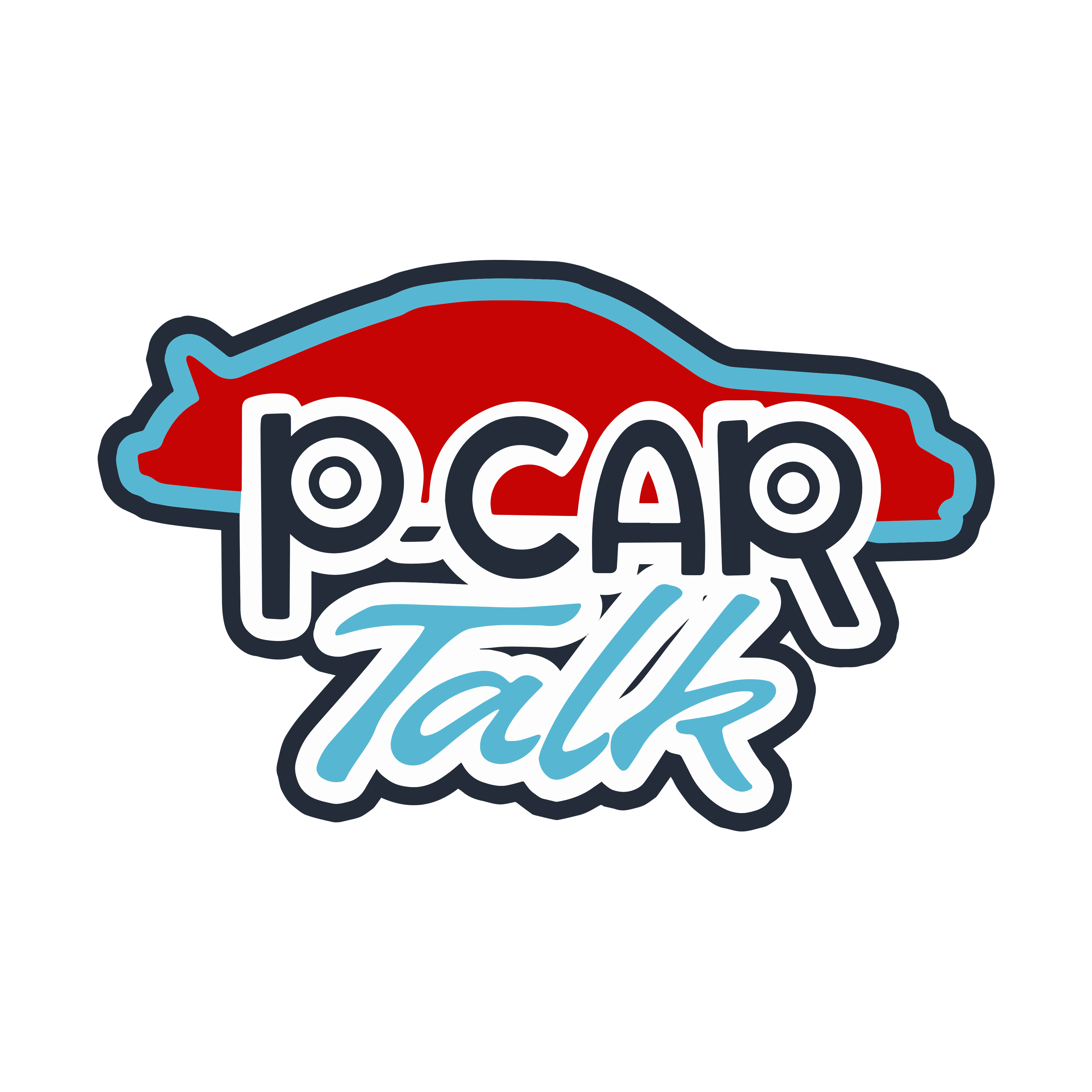 P-Car Talk Podcast