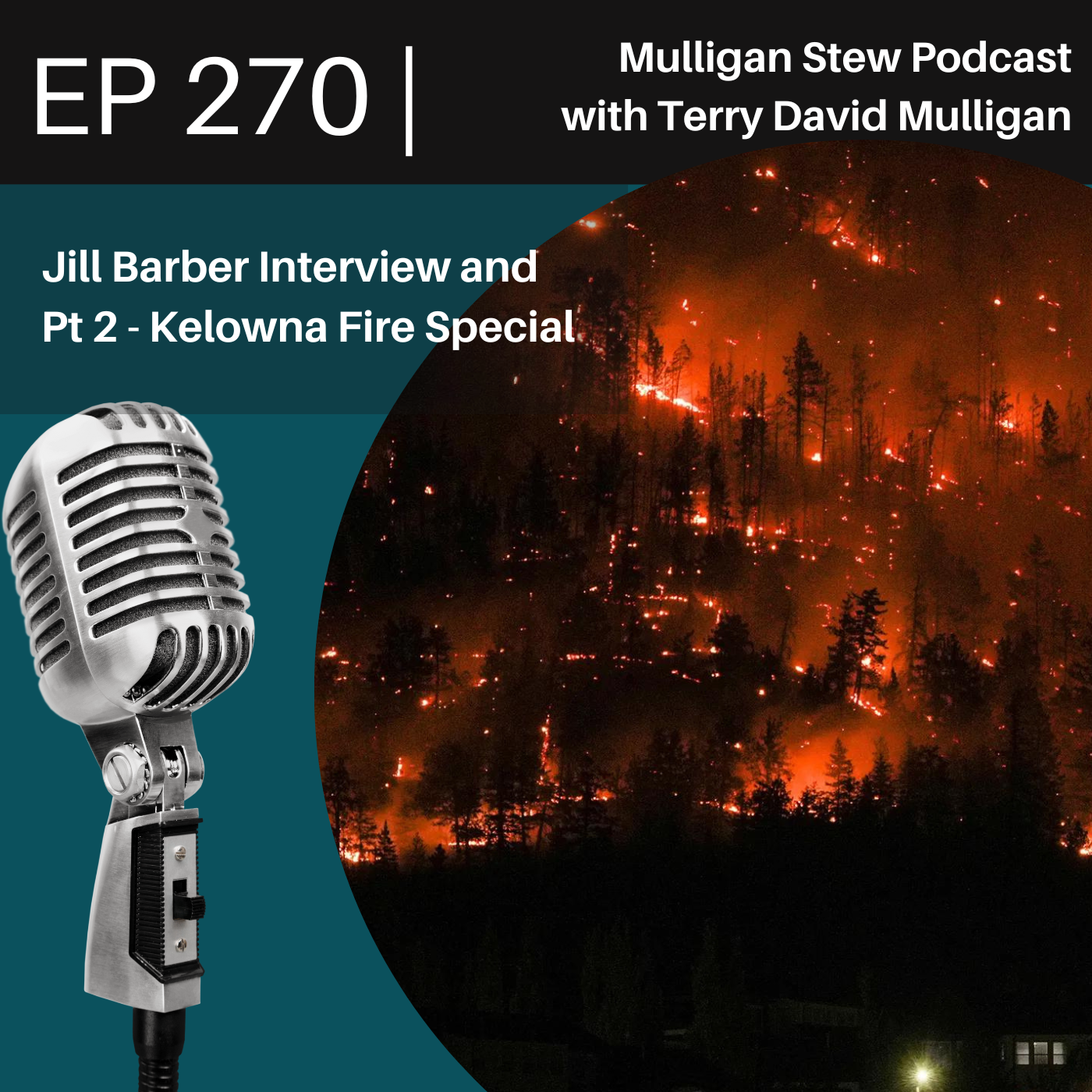Mulligan Stew