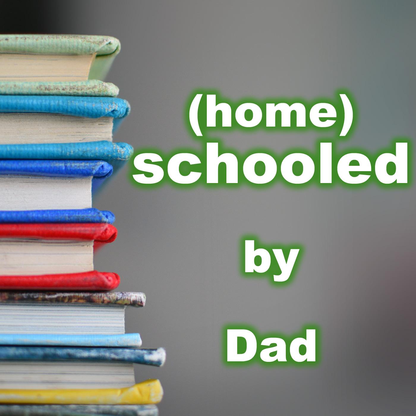 S1Ep6: Easy Peasy Homeschooling Part 2, Isaac's Crash, The Dog Escape & The Bunny, The Monster, & The Puppy