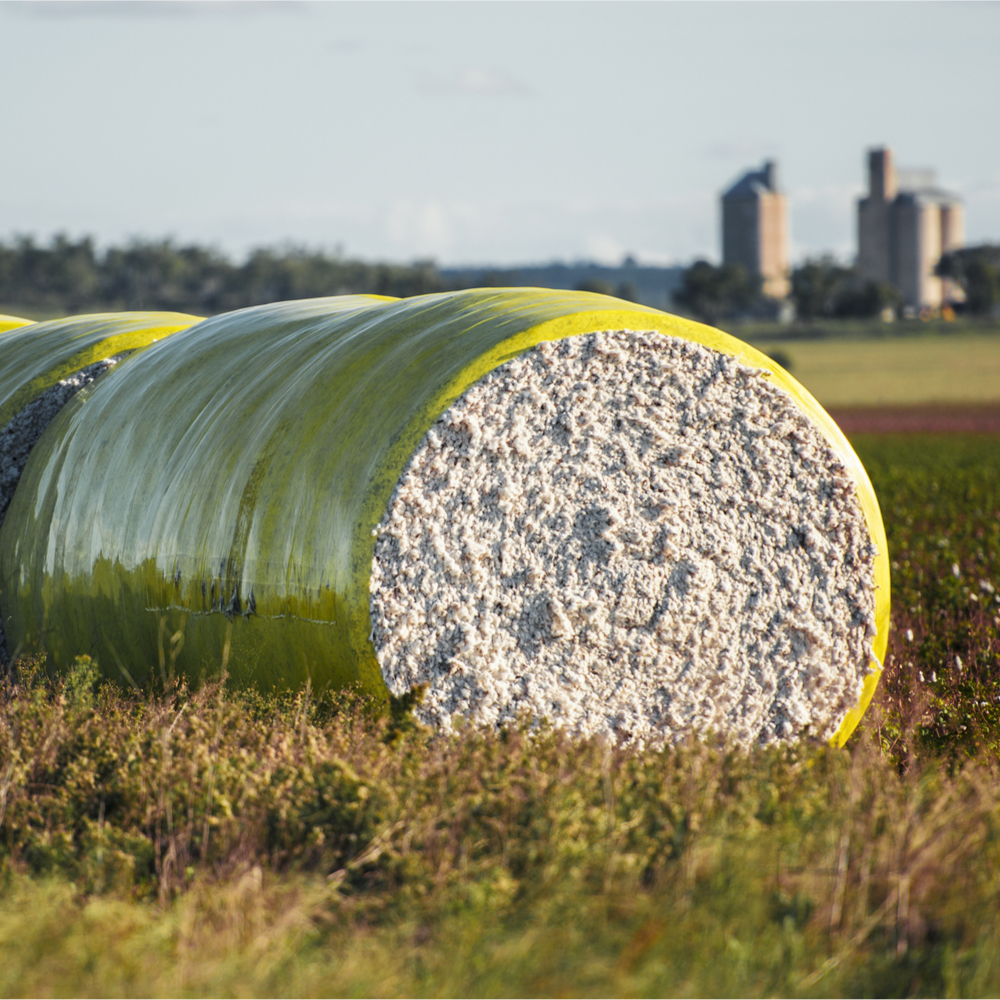RaboResearch Agri Commodities