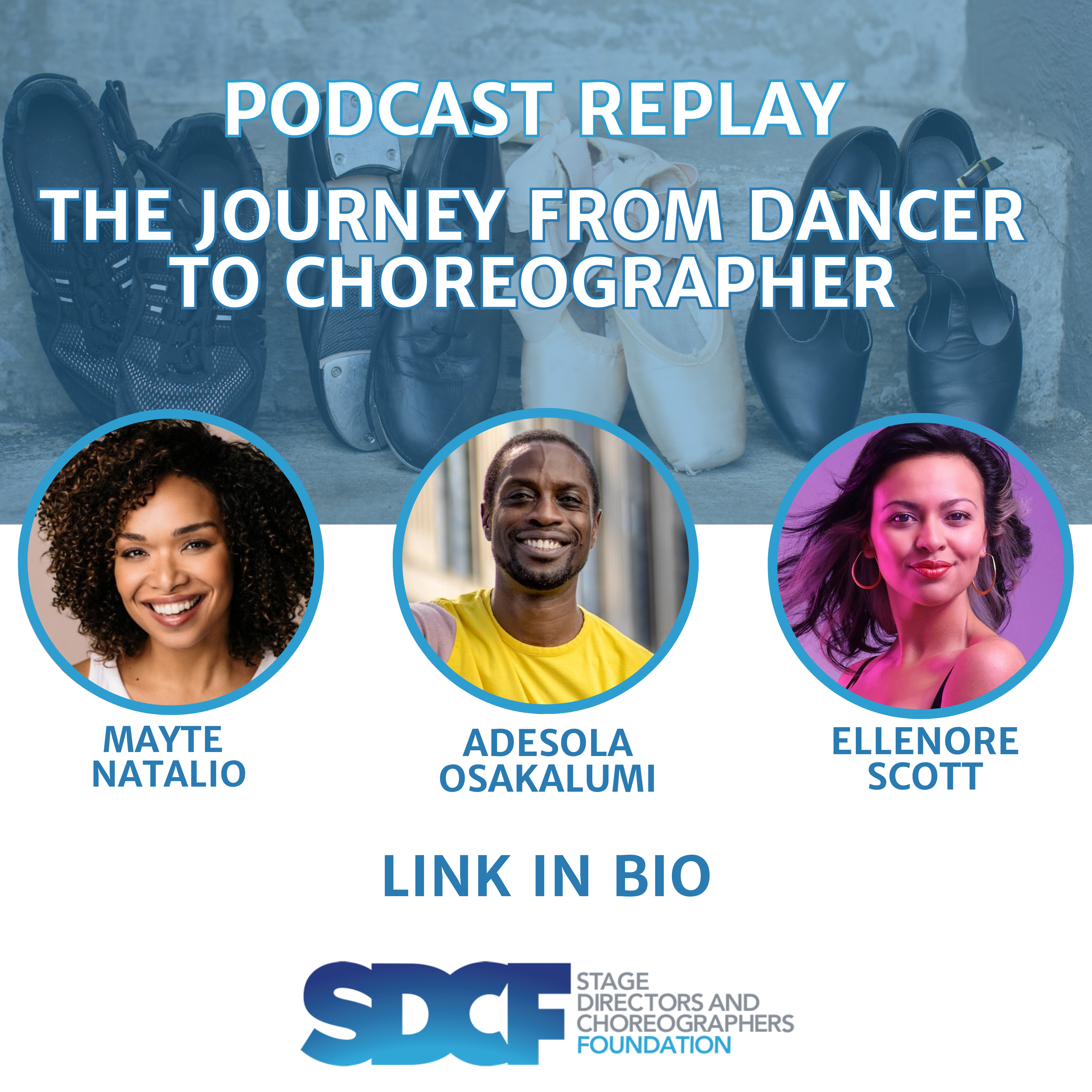 SDCF Podcast Series