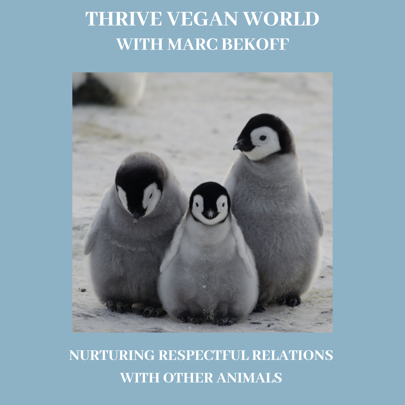 With Marc Bekoff - NURTURING RESPECTFUL RELATIONS WITH OTHER ANIMALS - Episode 35