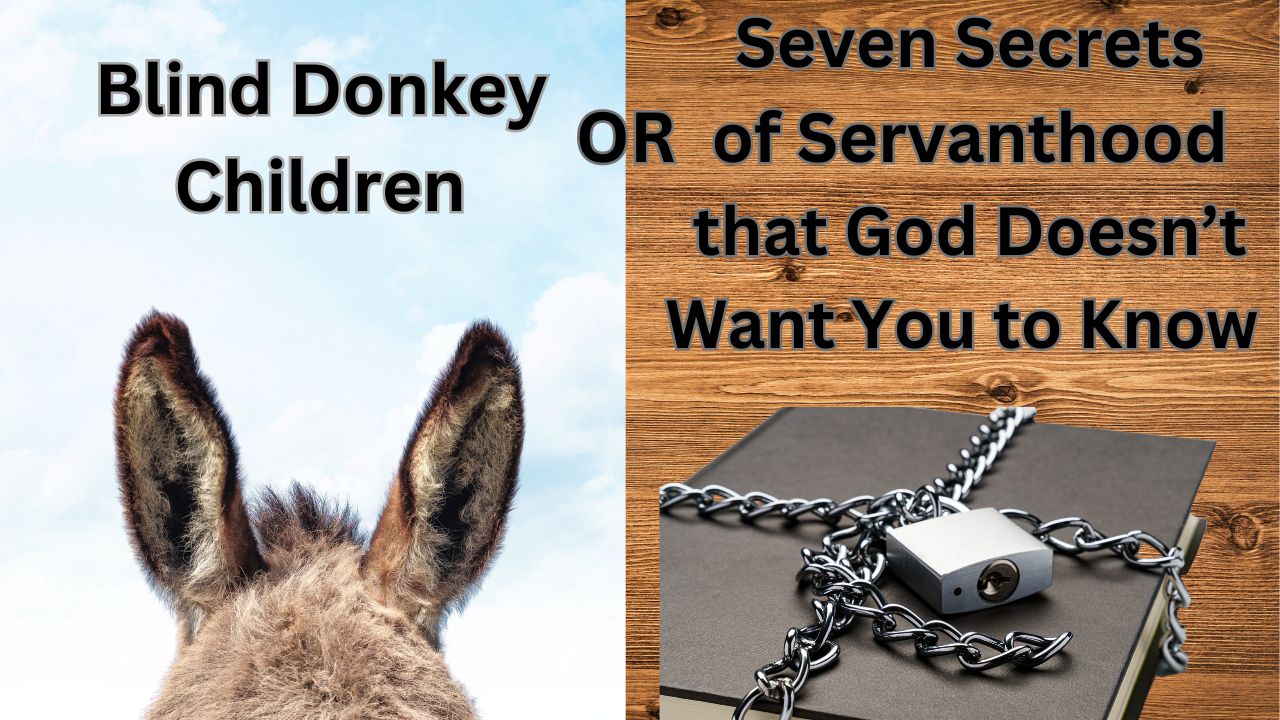 Blind Donkey Children or Seven Secrets of Servanthood That God Doesn't Want You to Know, Matthew21:6-17