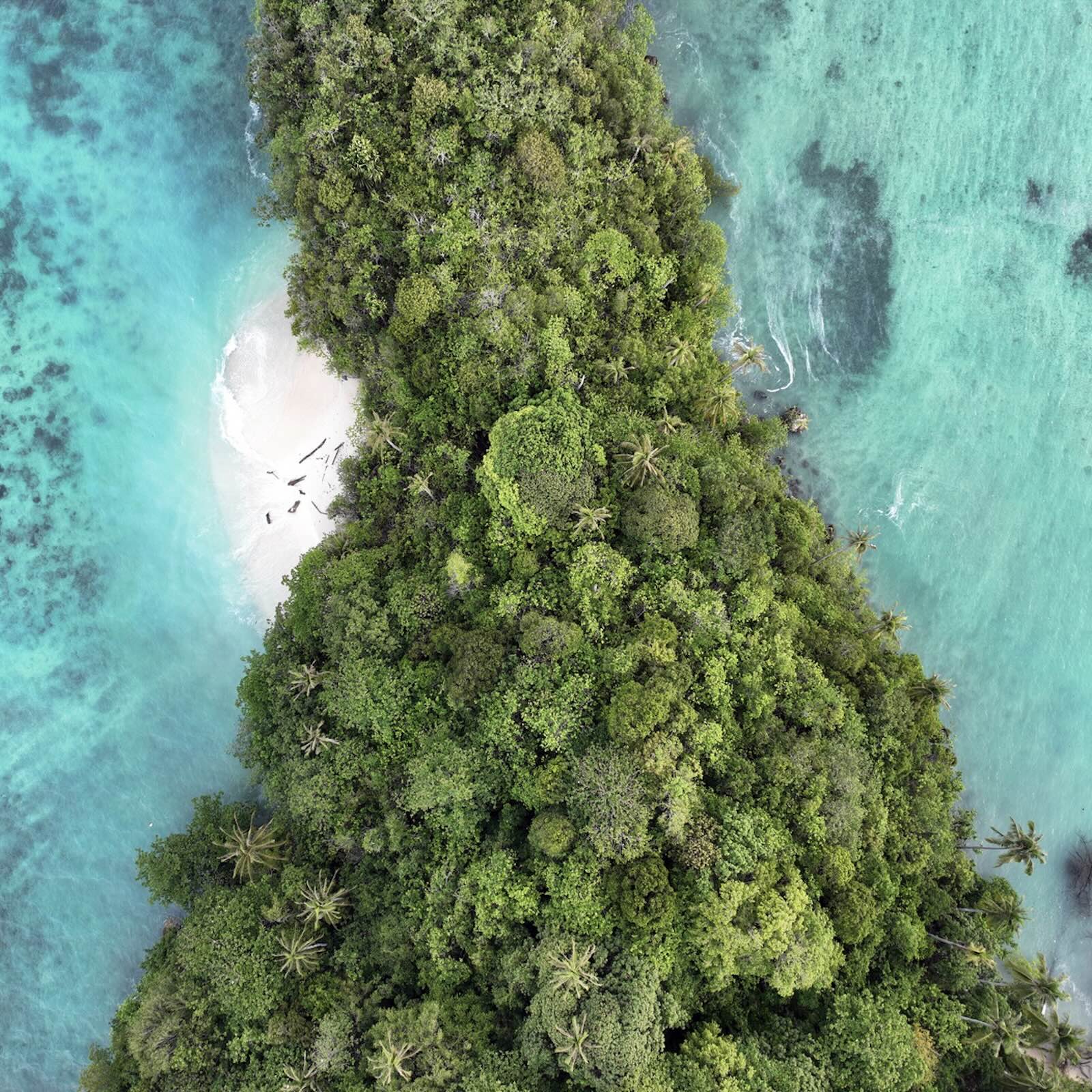 Mongabay Newscast