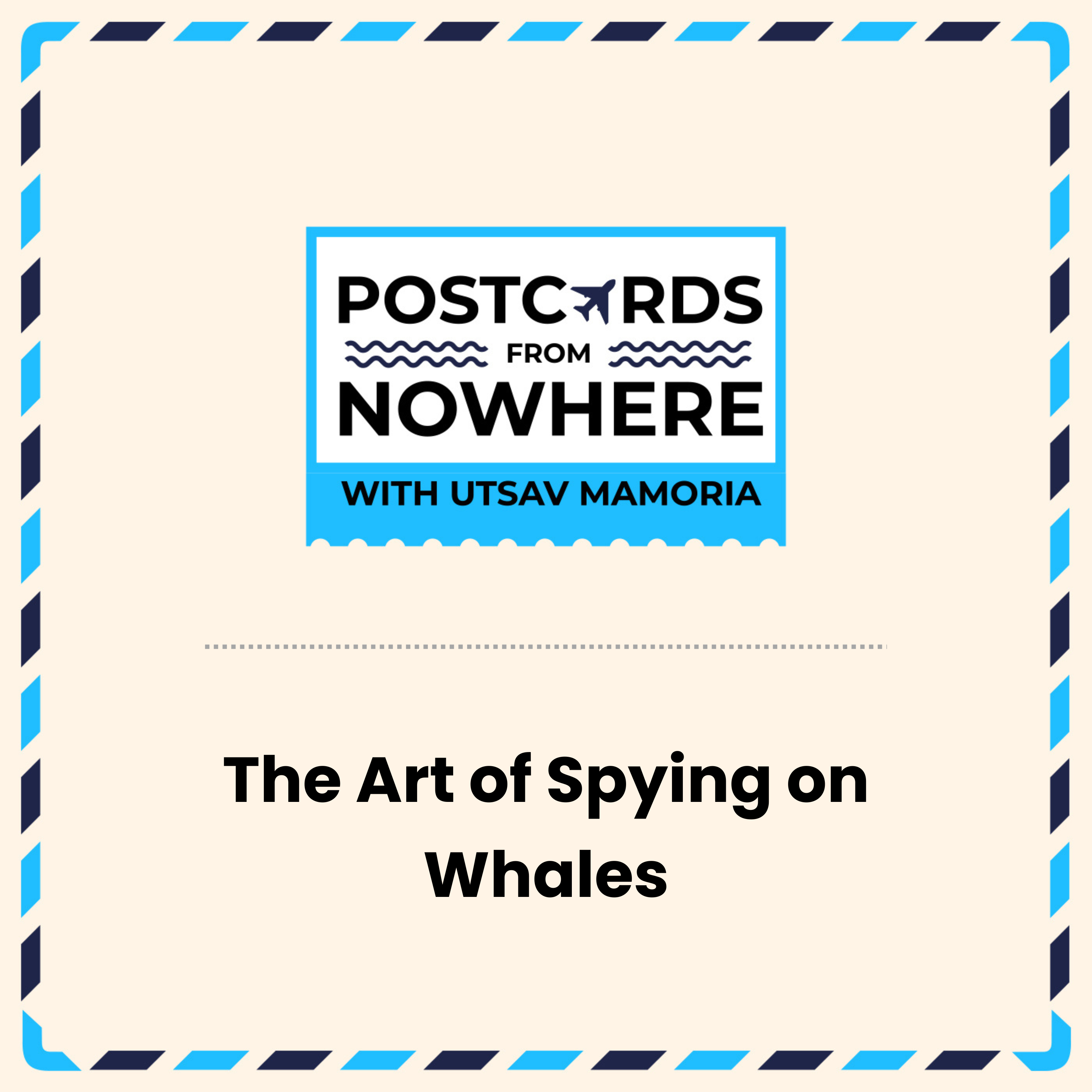 Podcast Cover