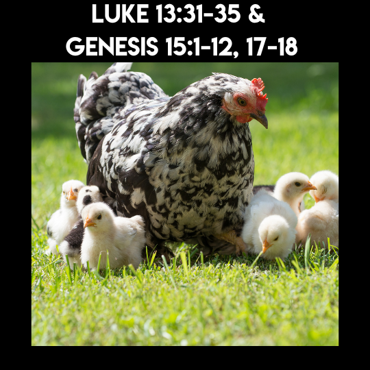 Sermon - 3-16-25