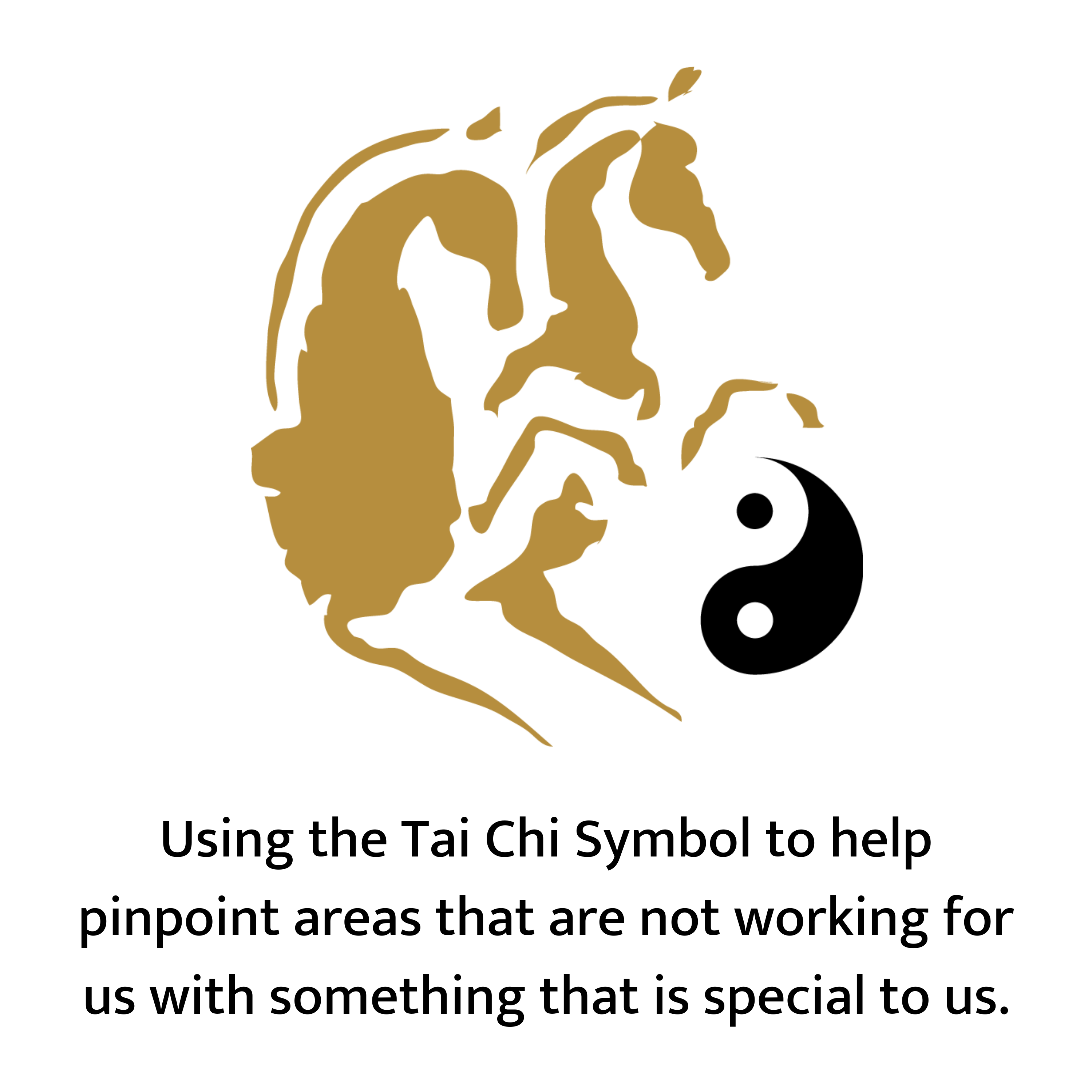 The Equestrian Tai Chi Podcast
