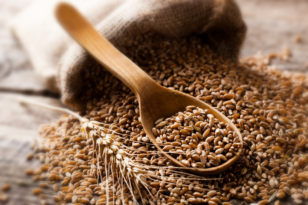 RaboResearch Agri Commodities