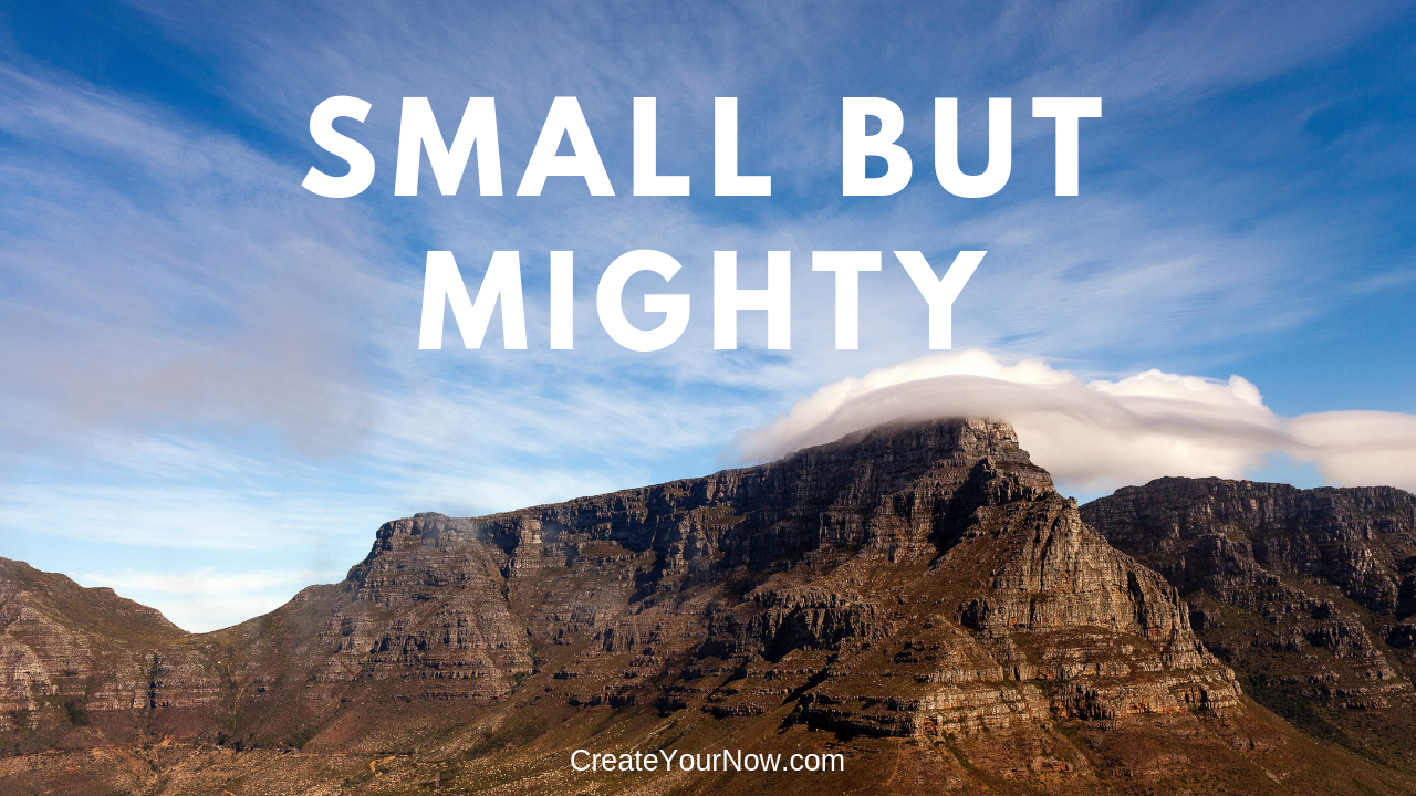 1333 Small But Mighty