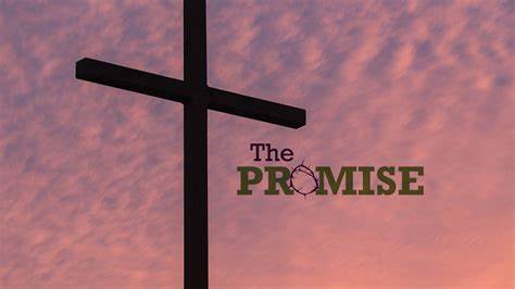 What is the Greatest Promise in the Entire Bible? We Are Approaching An Endless Age That Will Lack Pain, Death and Tears. Encouragement From Revelation. Will We Live Forever in Heaven? Reading Revelation 21 #361