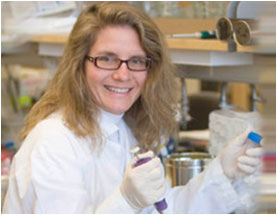 New Discoveries about the Life Cycle of Toxoplasma Gondii—Laura Knoll, PhD—Department of Medical Microbiology & Immunology at the University of Wisconsin-Madison