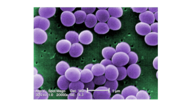 Antibiotic Super-Weapon