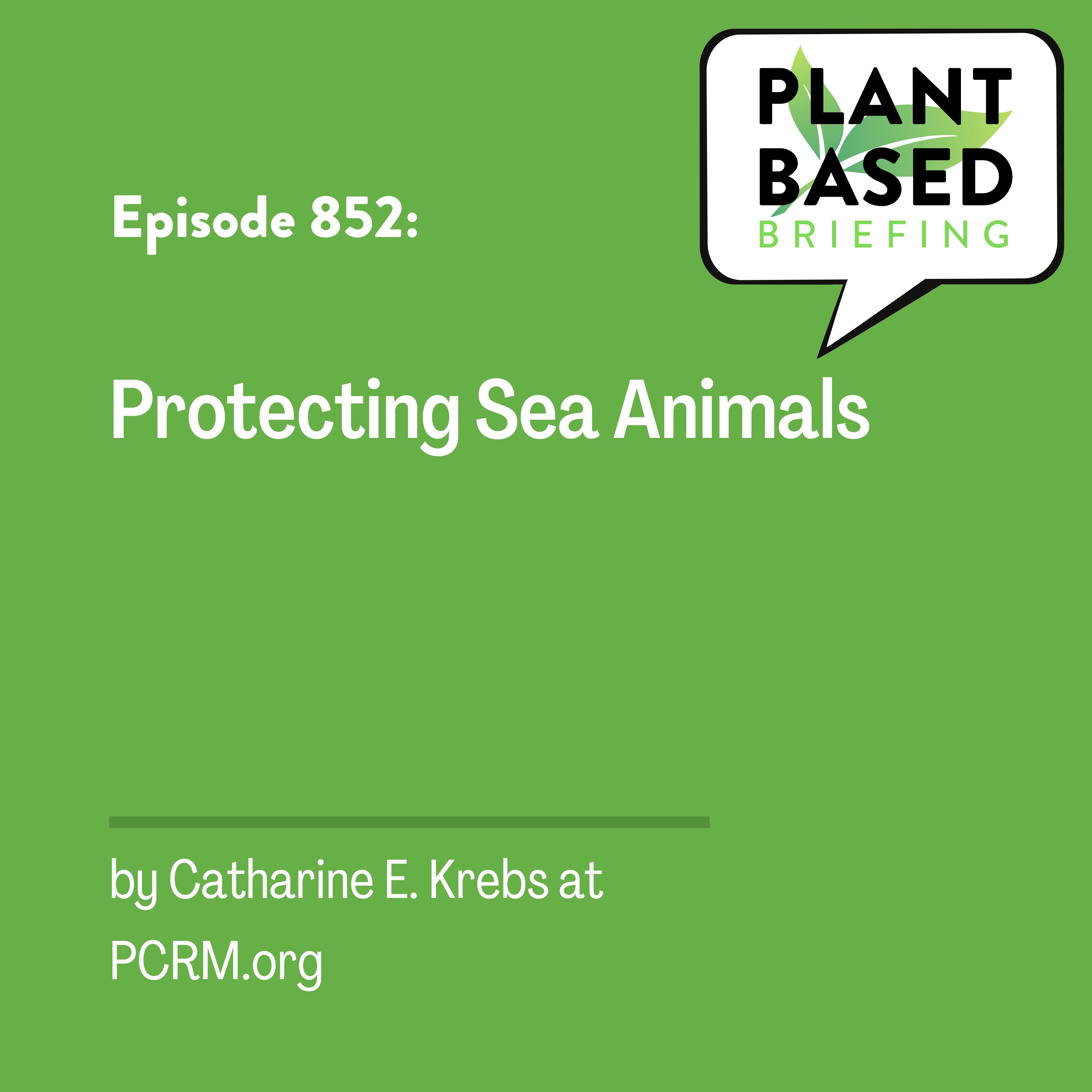 852: Protecting Sea Animals by Catharine E. Krebs at PCRM.org