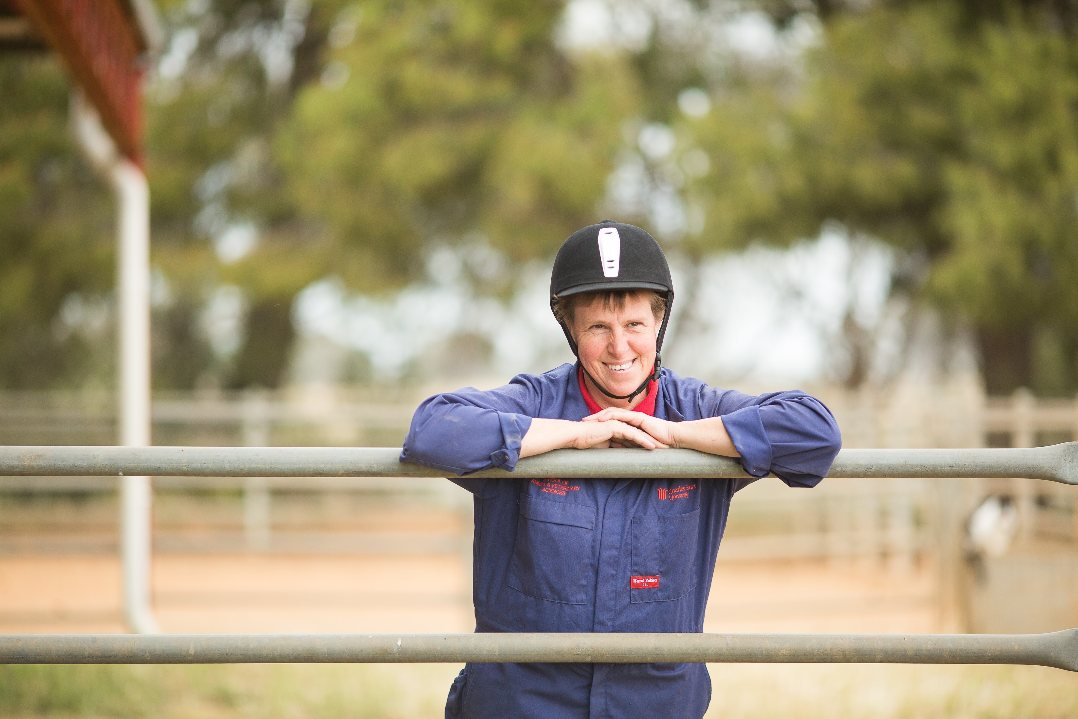 0164: Dr Hayley Randle - Appreciate The Horse For What He or She Is, Horses Are All Individuals
