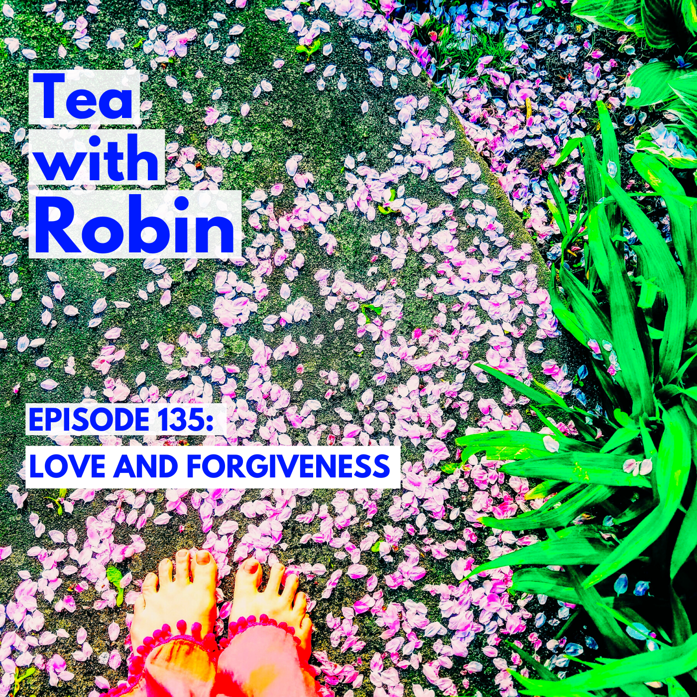 Tea with Robin