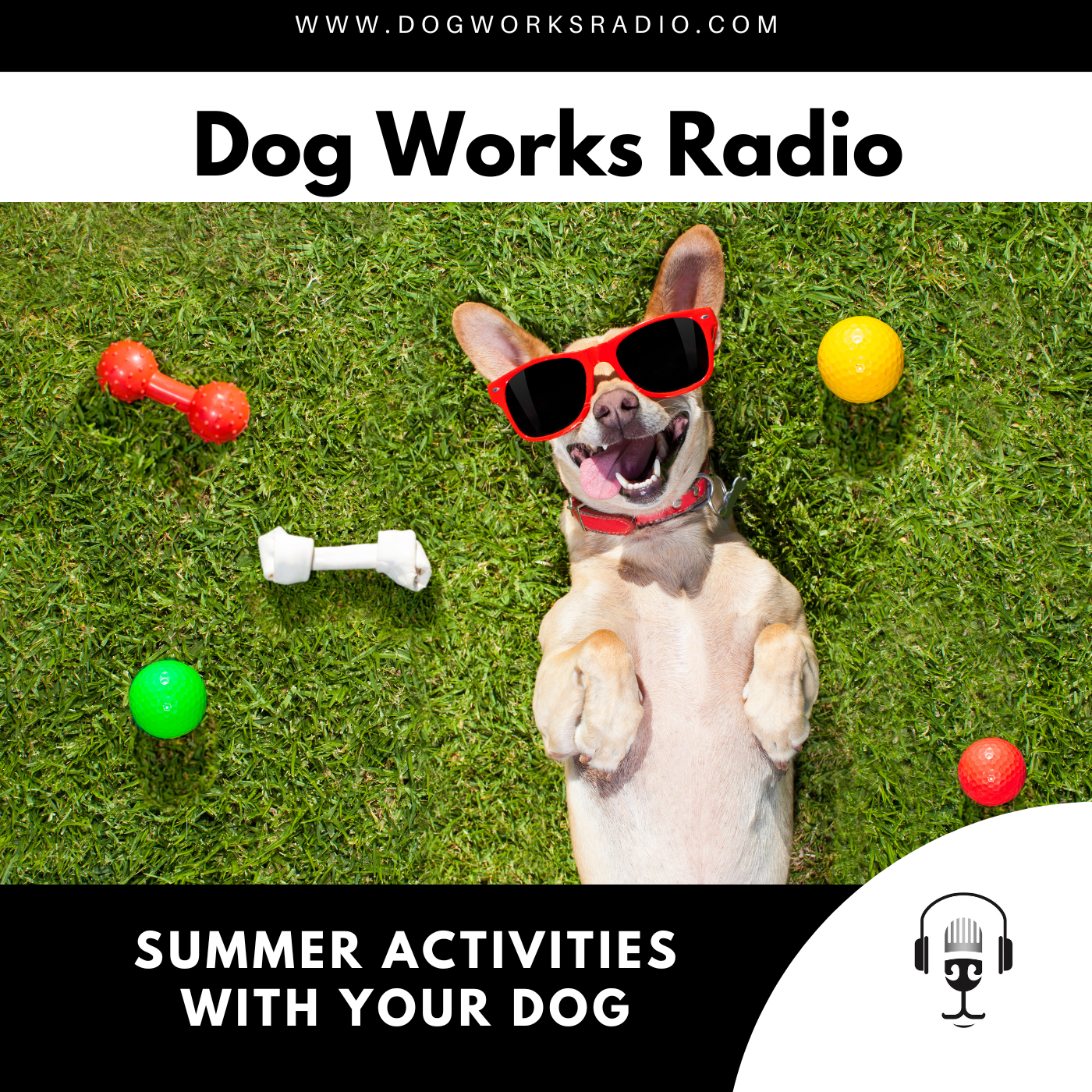 Dog Works Radio
