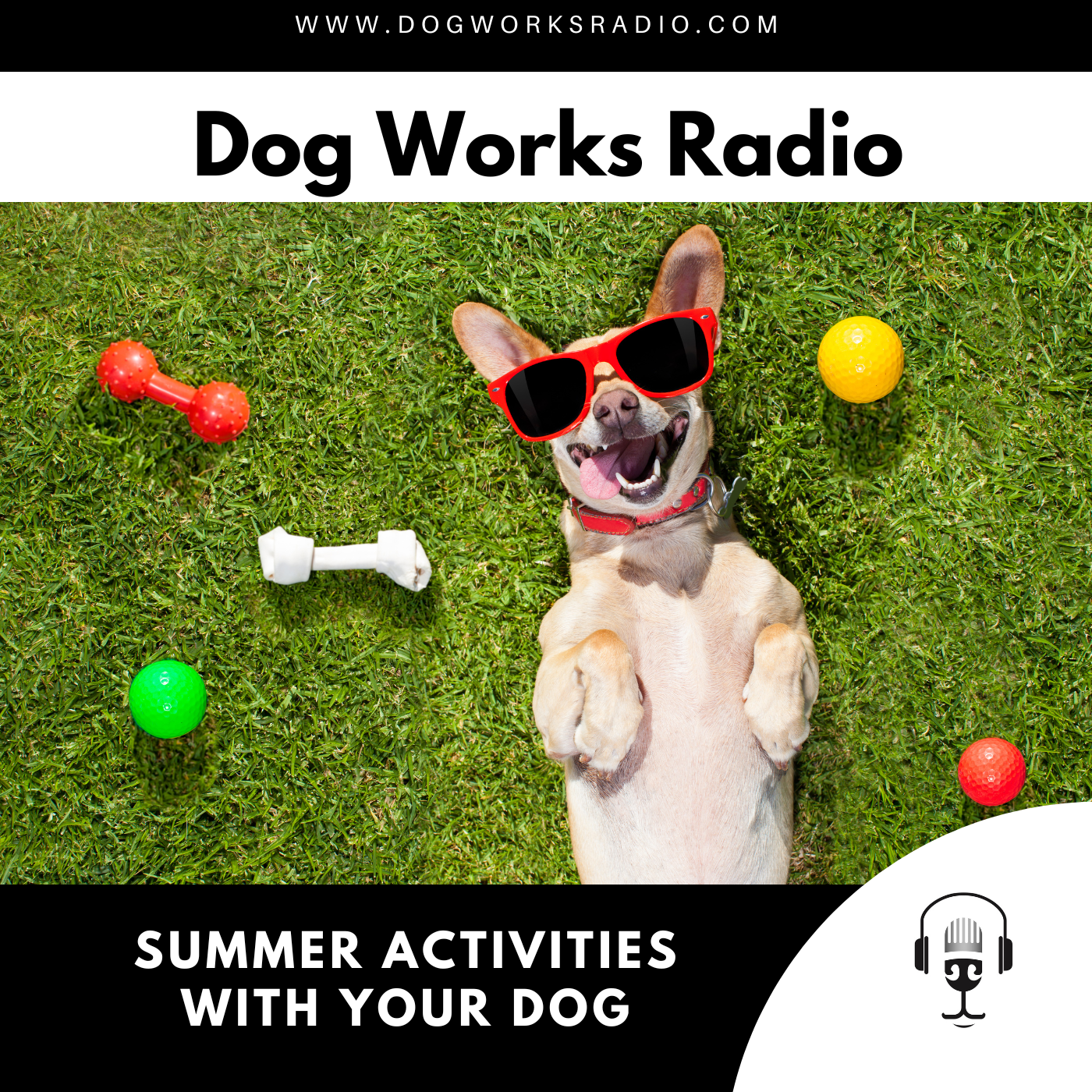 Summer Activities with Your Dog