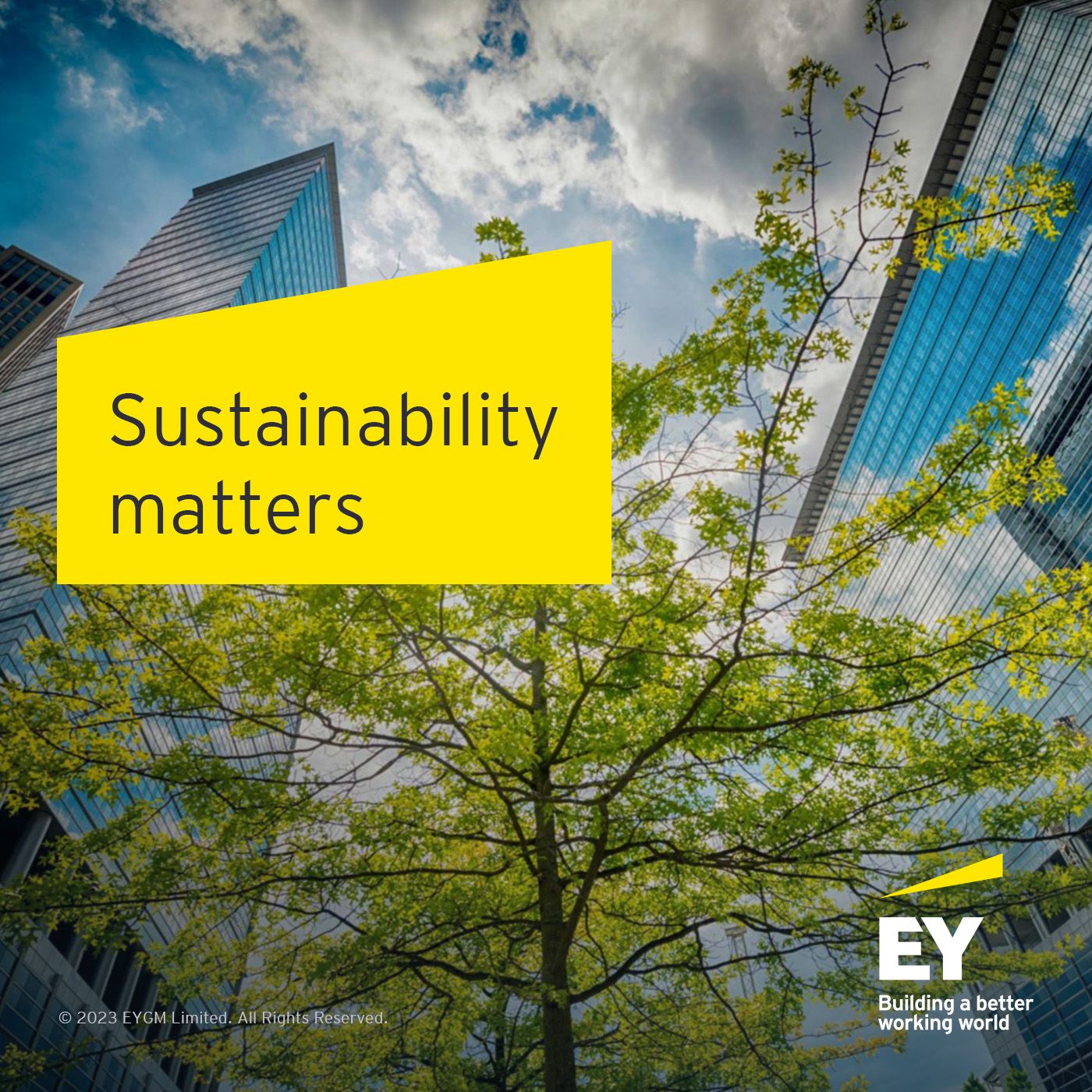 EY Sustainability Matters