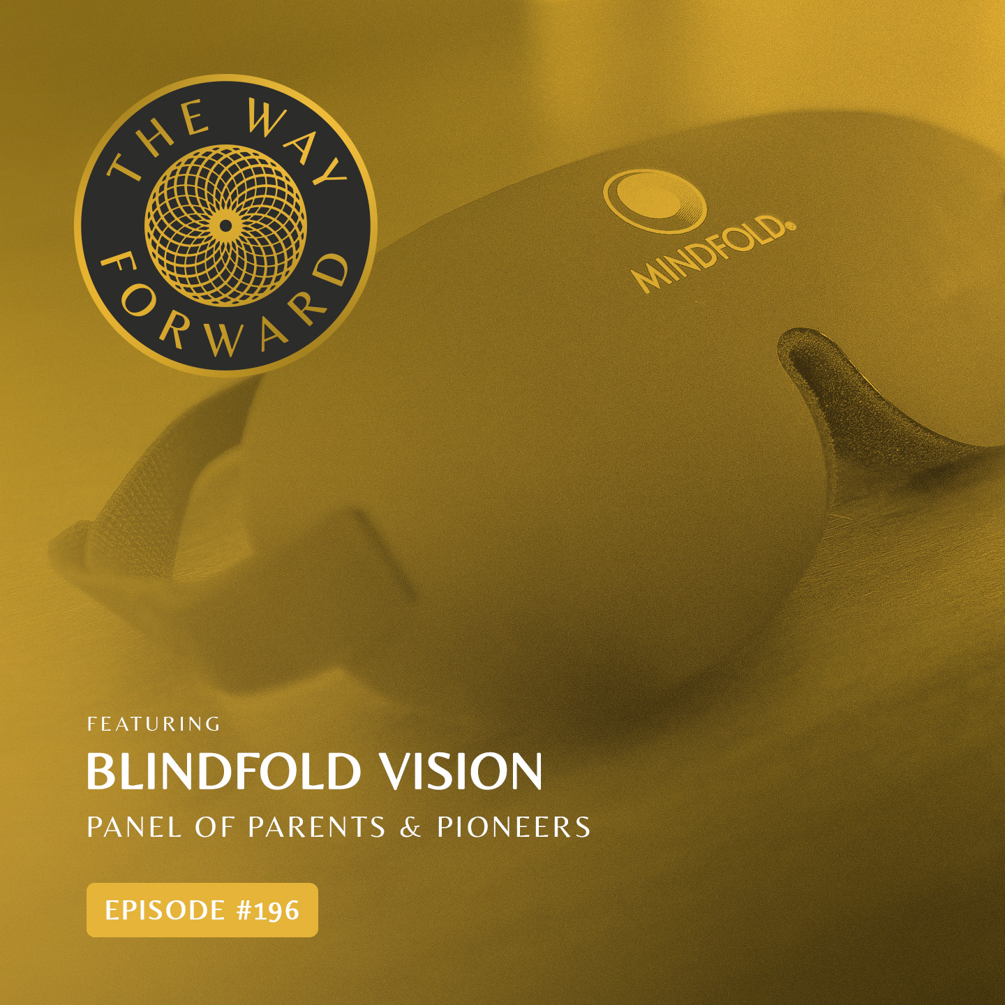 Ep 196: Blindfold Vision: Panel of Parents and Pioneers