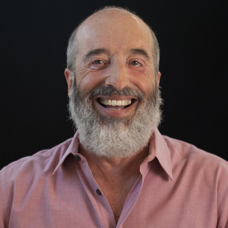 013 Cracking the Code of Rapid Social Transformation