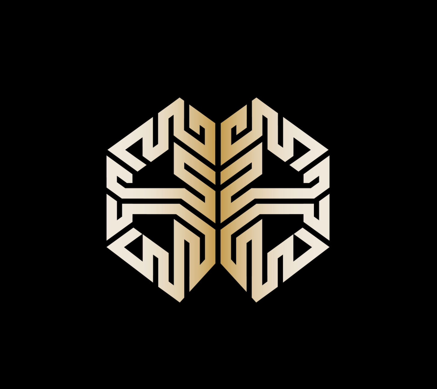 Big Brain MMA Podcast