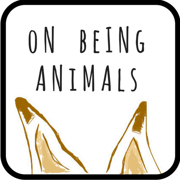 On Being Animals