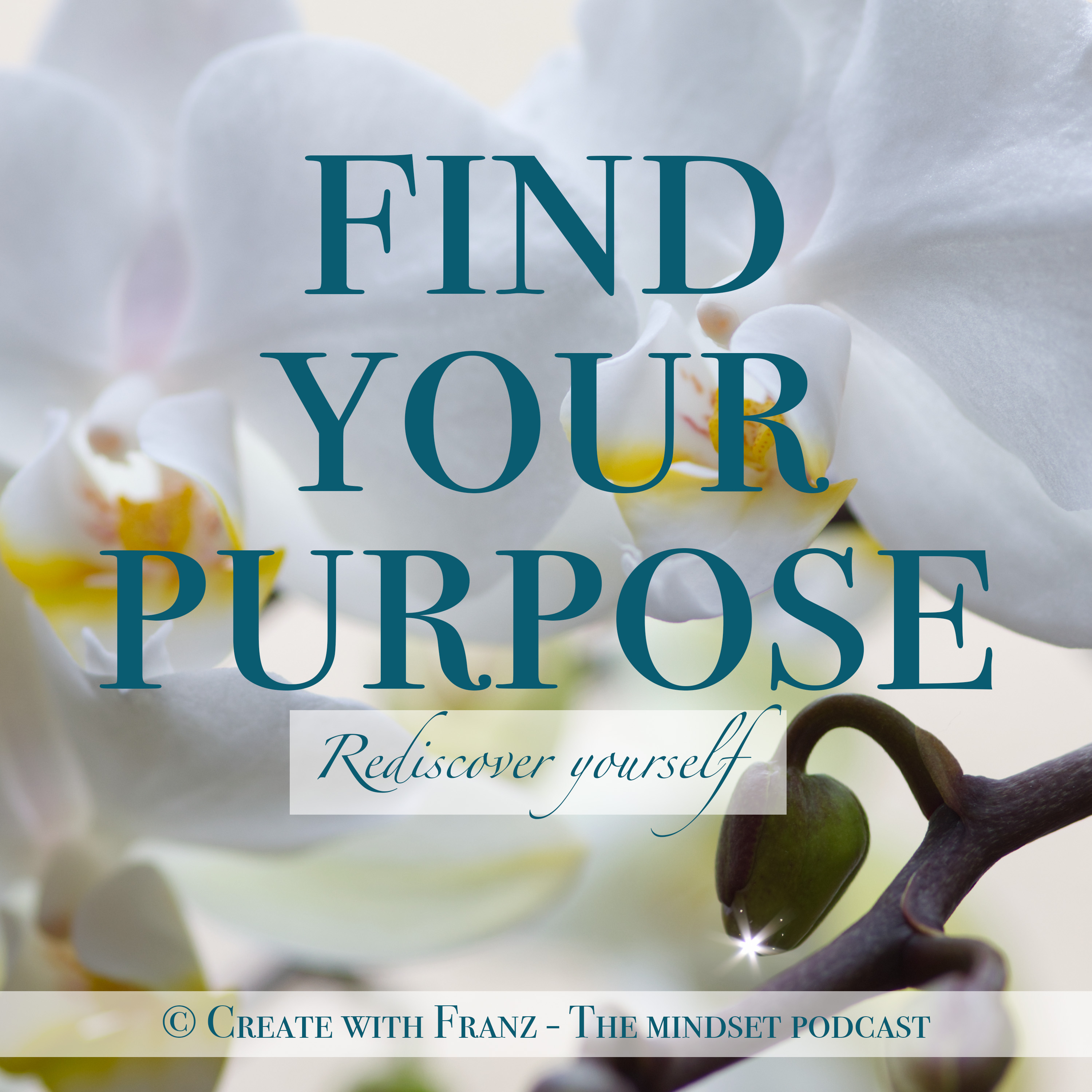 Rediscover Yourself: overcome burnout and find your purpose