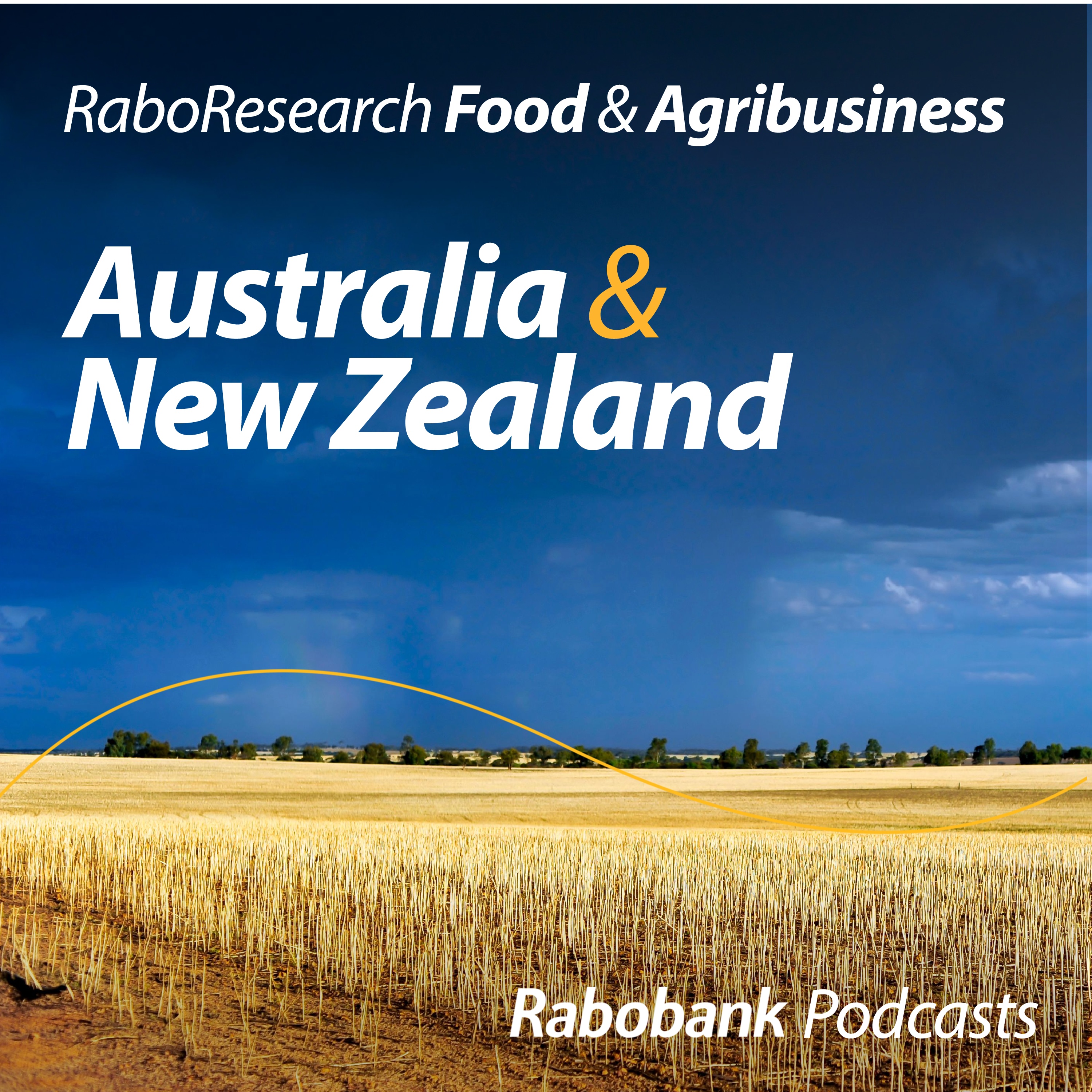 Global forces are impacting local prices: Grains and cotton in focus