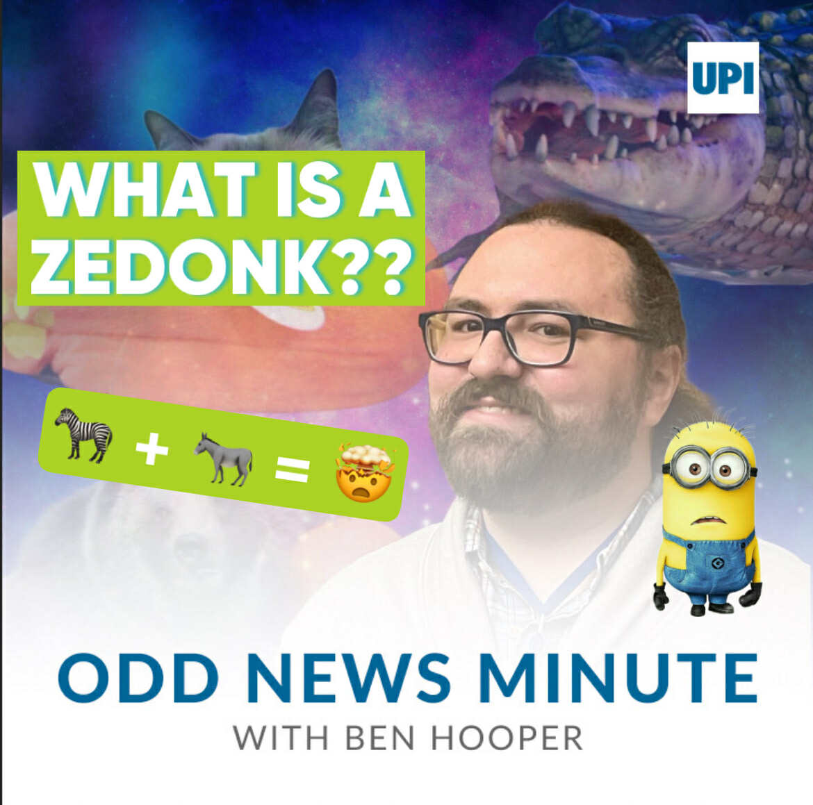 'Zedonk' escape, Minions mania