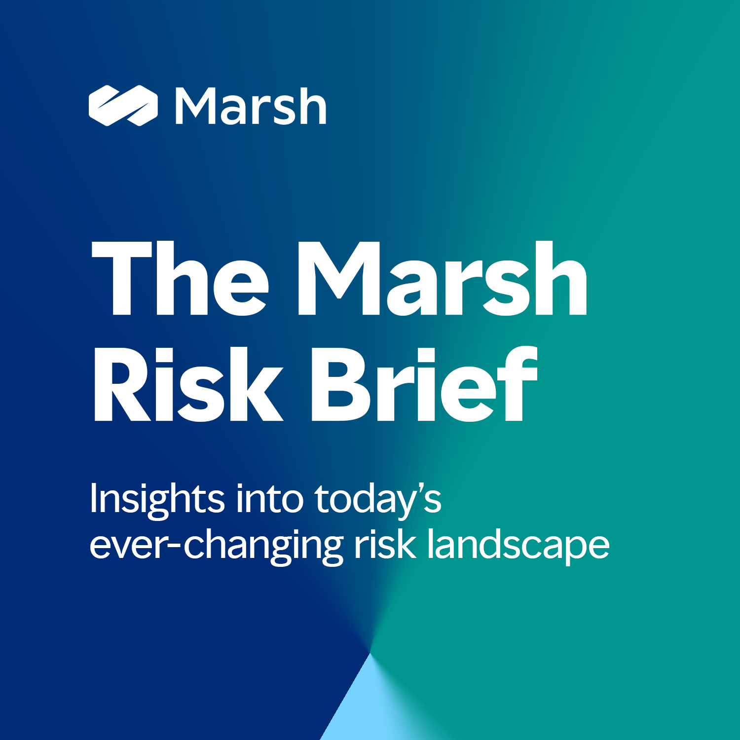 The Marsh Risk Brief
