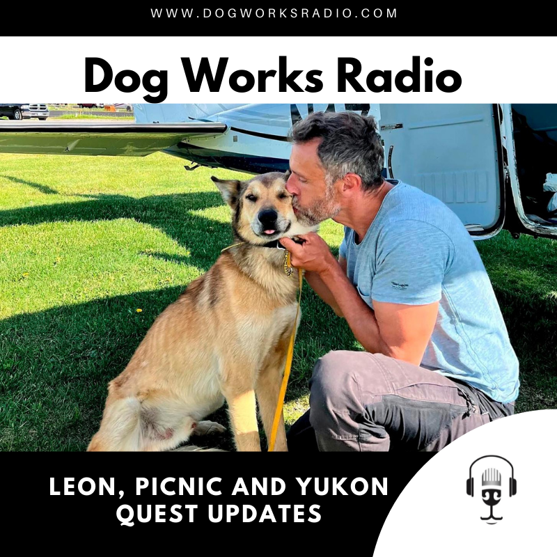 Leon, Picnic and more Yukon Quest Updates