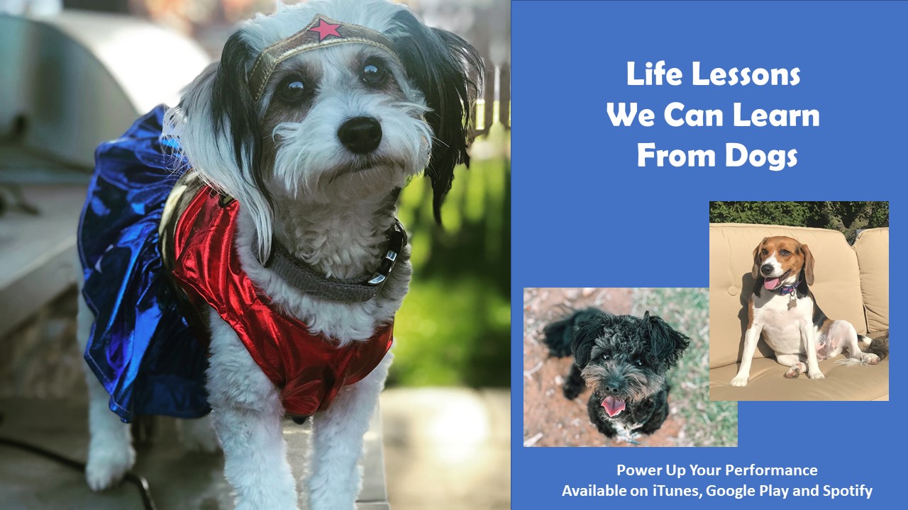 Post Cards From the YES Life: Your launchpad for reinvention, empowerment, adventurous living, and purpose-driven entrepreneurship