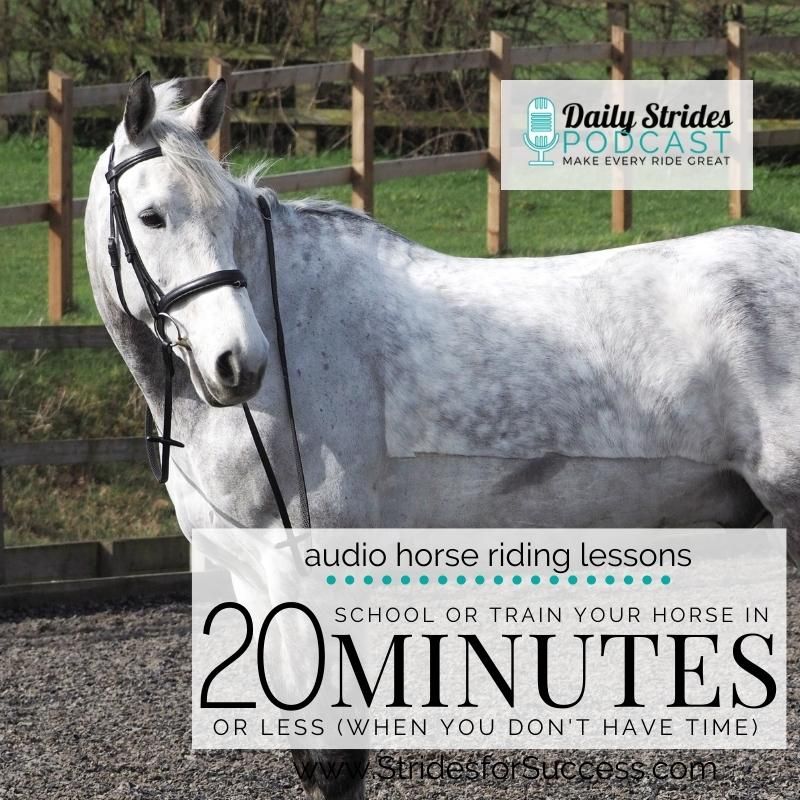 Train Your Horse in Twenty Minutes or Less