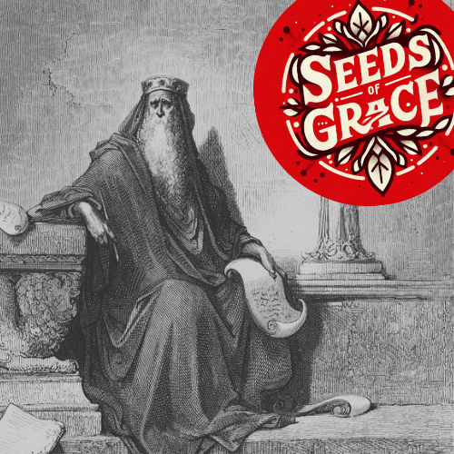 Seeds of Grace