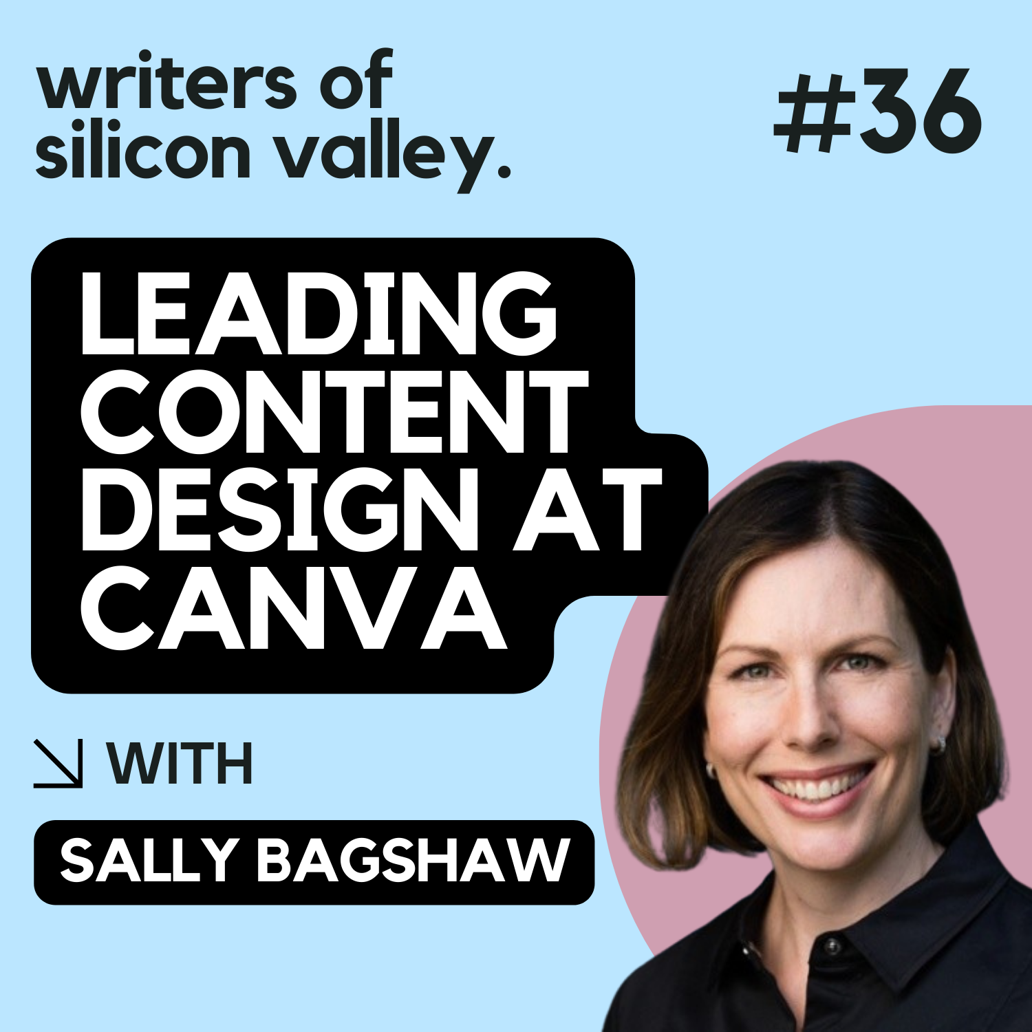 Writers of Silicon Valley