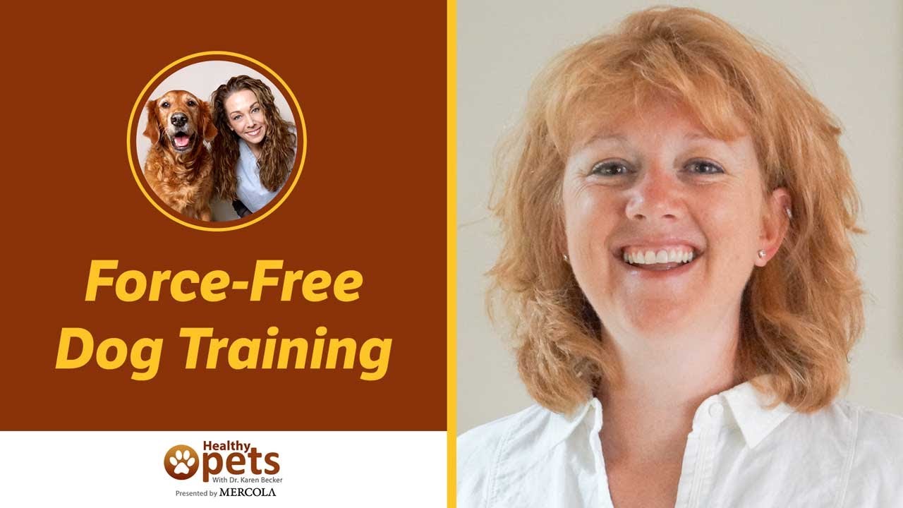Take Control of Your Pet\'s Health with Dr. Becker