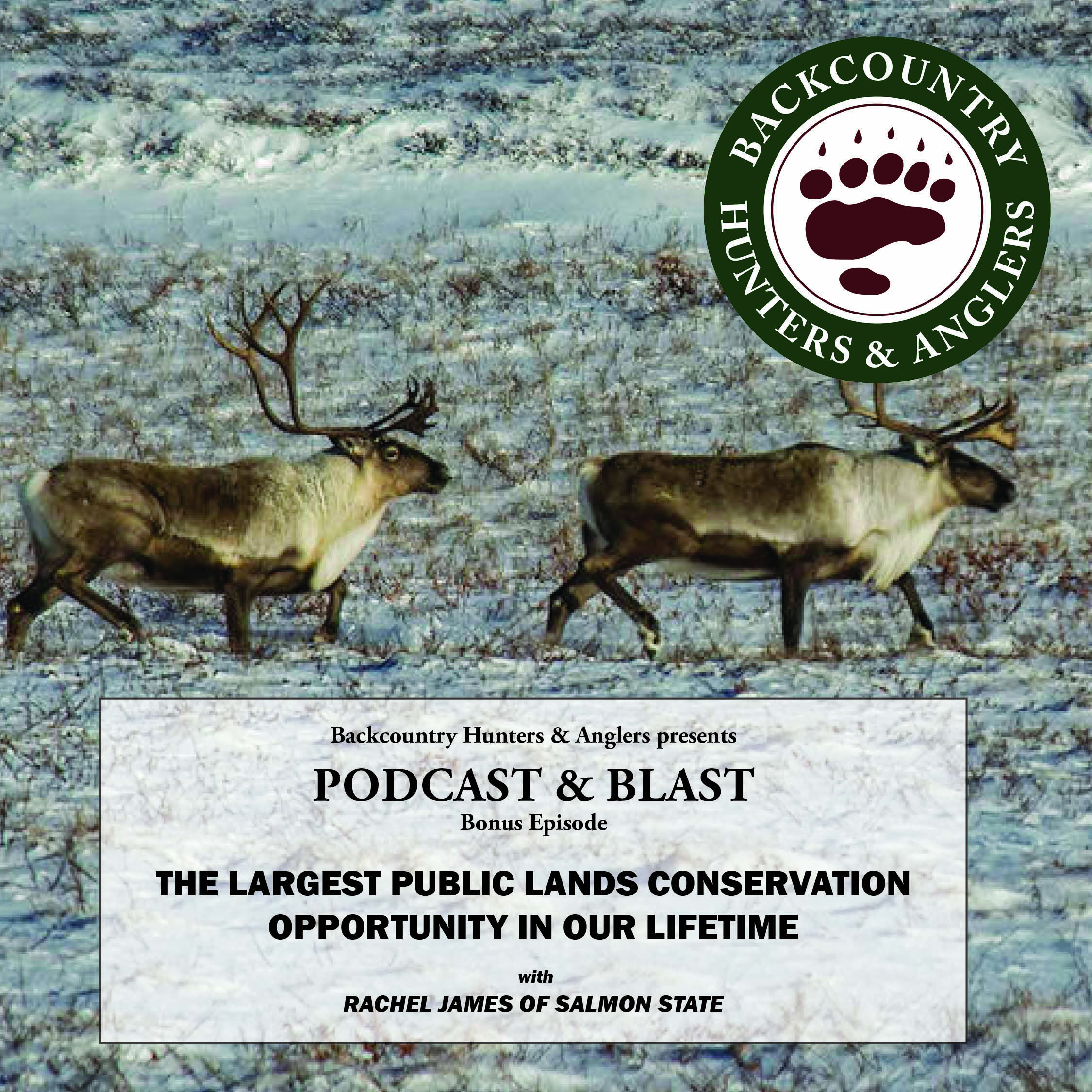 cover of episode Bonus Episode: The Largest Public Lands Conservation Opportunity in Our Lifetime