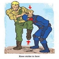 G.I. Joe: The Comics
