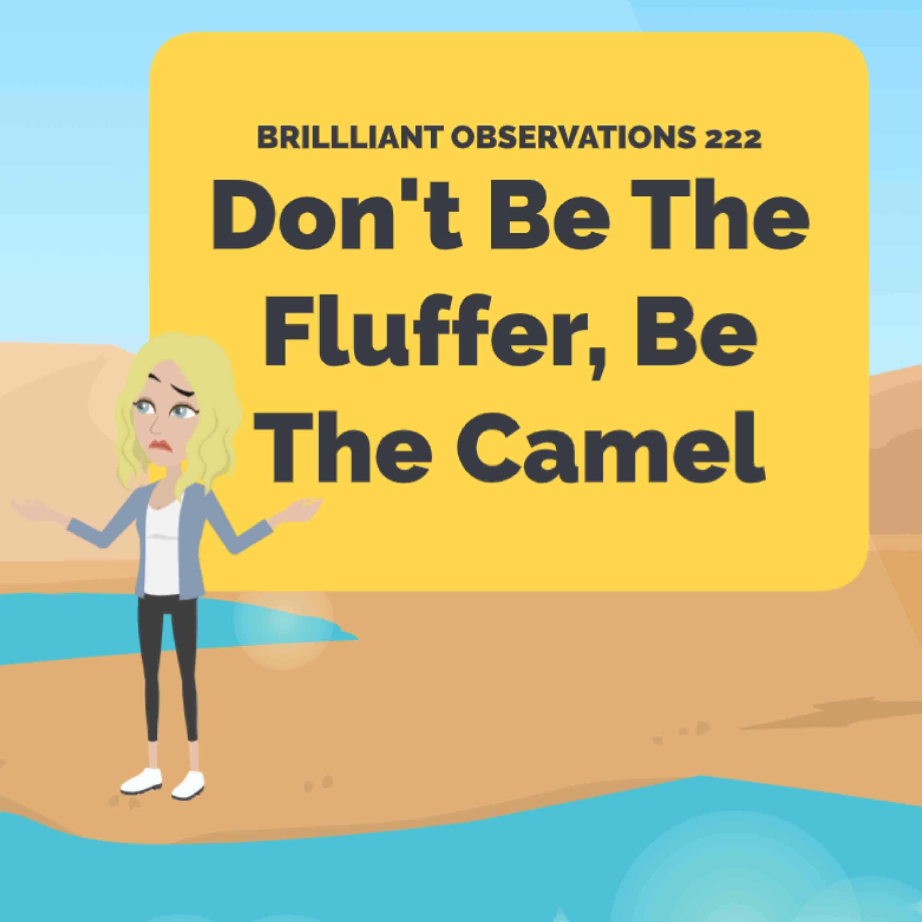 Don’t Be the Fluffer, Be the Camel