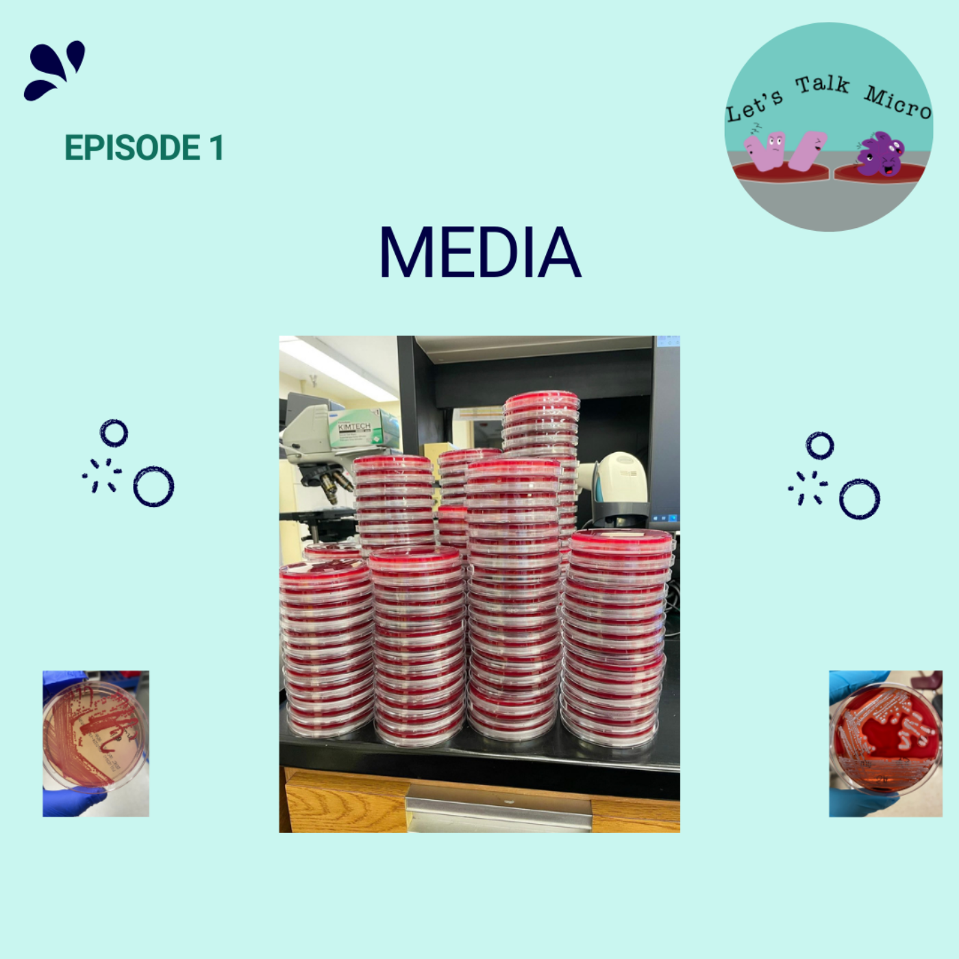 Episode 1: Media