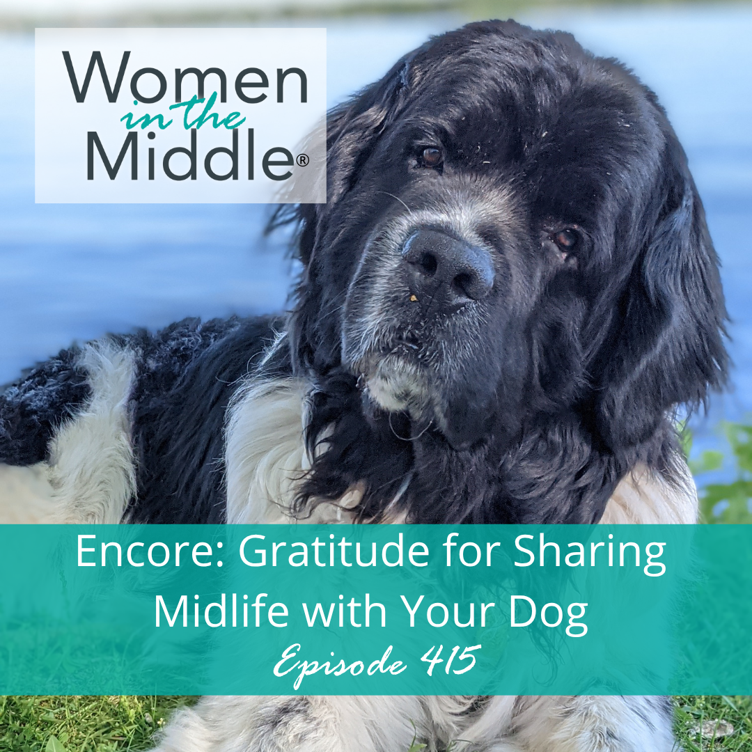 cover of episode EP #415: Encore: Gratitude for Sharing Midlife With Your Dog