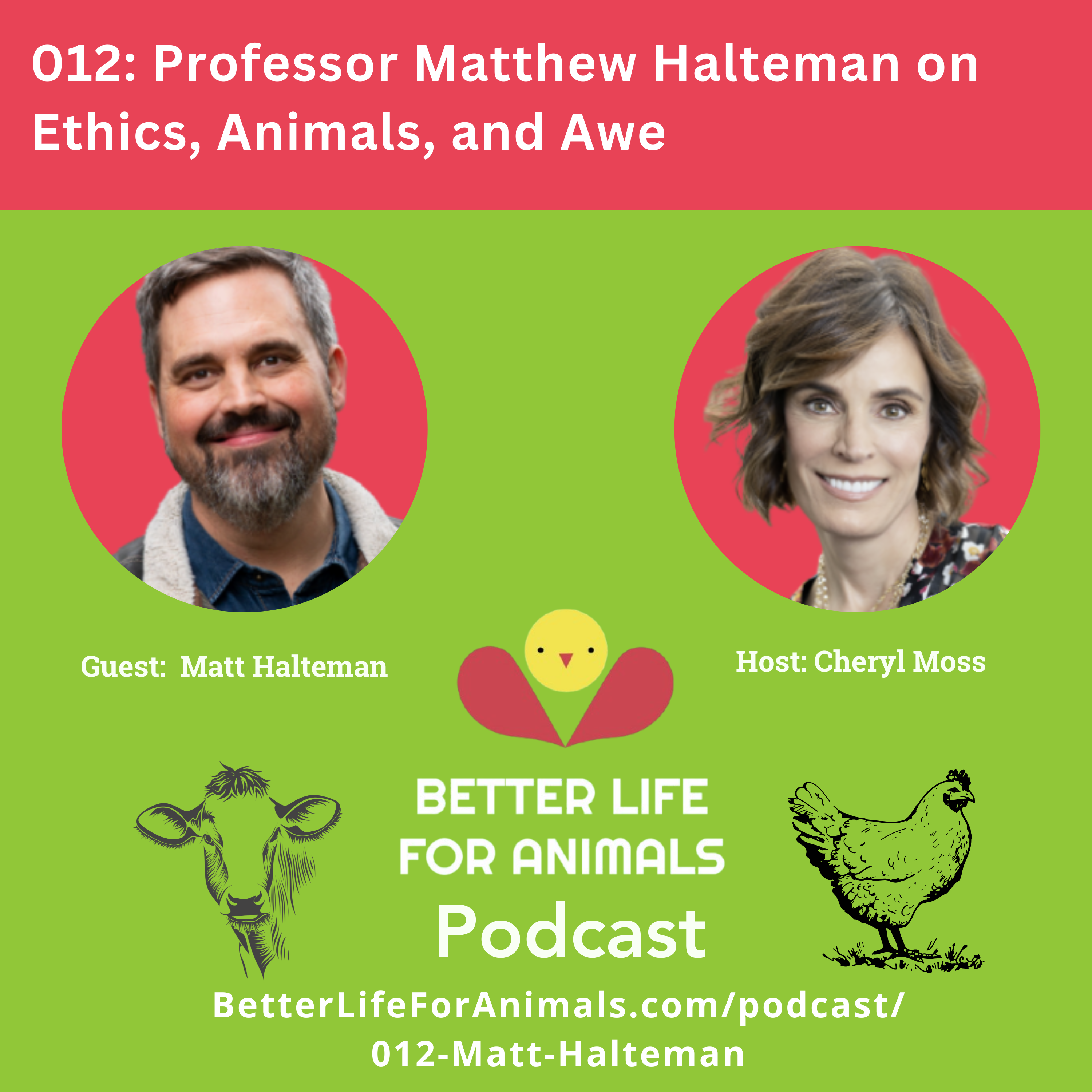 Better Life for Animals